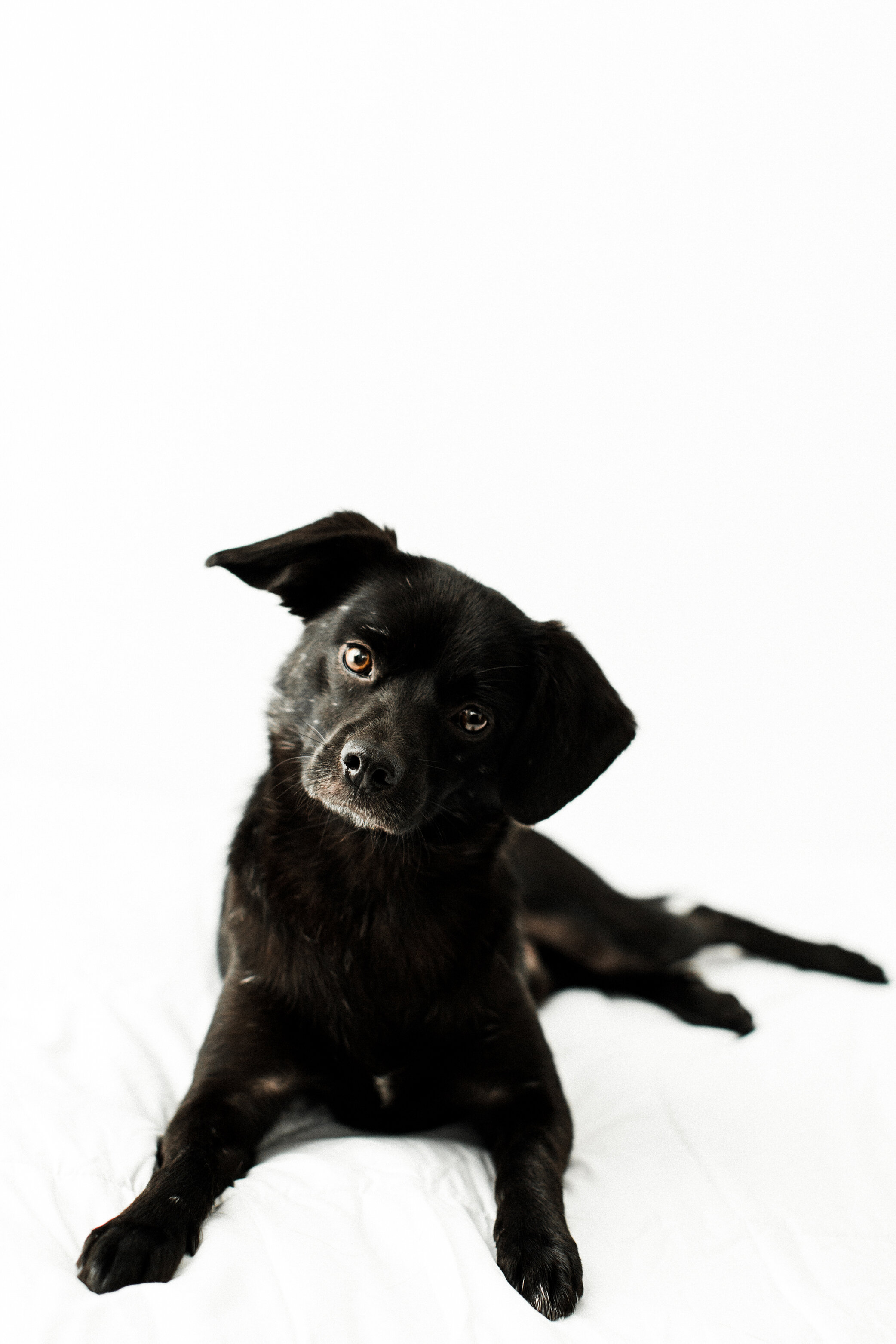Jade_Wildhearts_Photography27.jpg