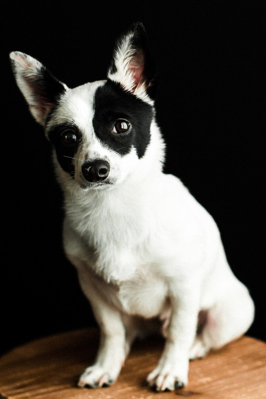 Spencer