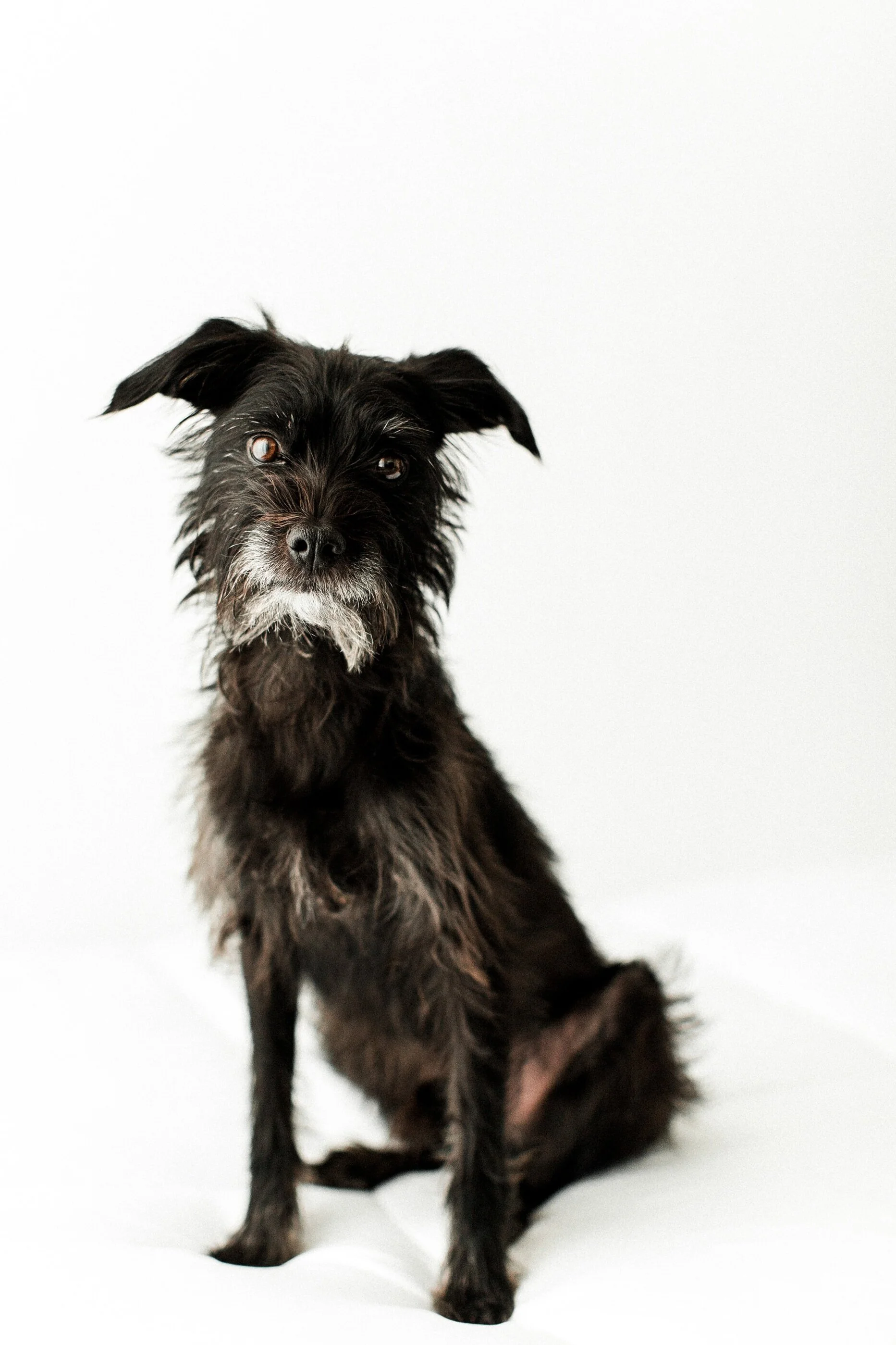 Pip