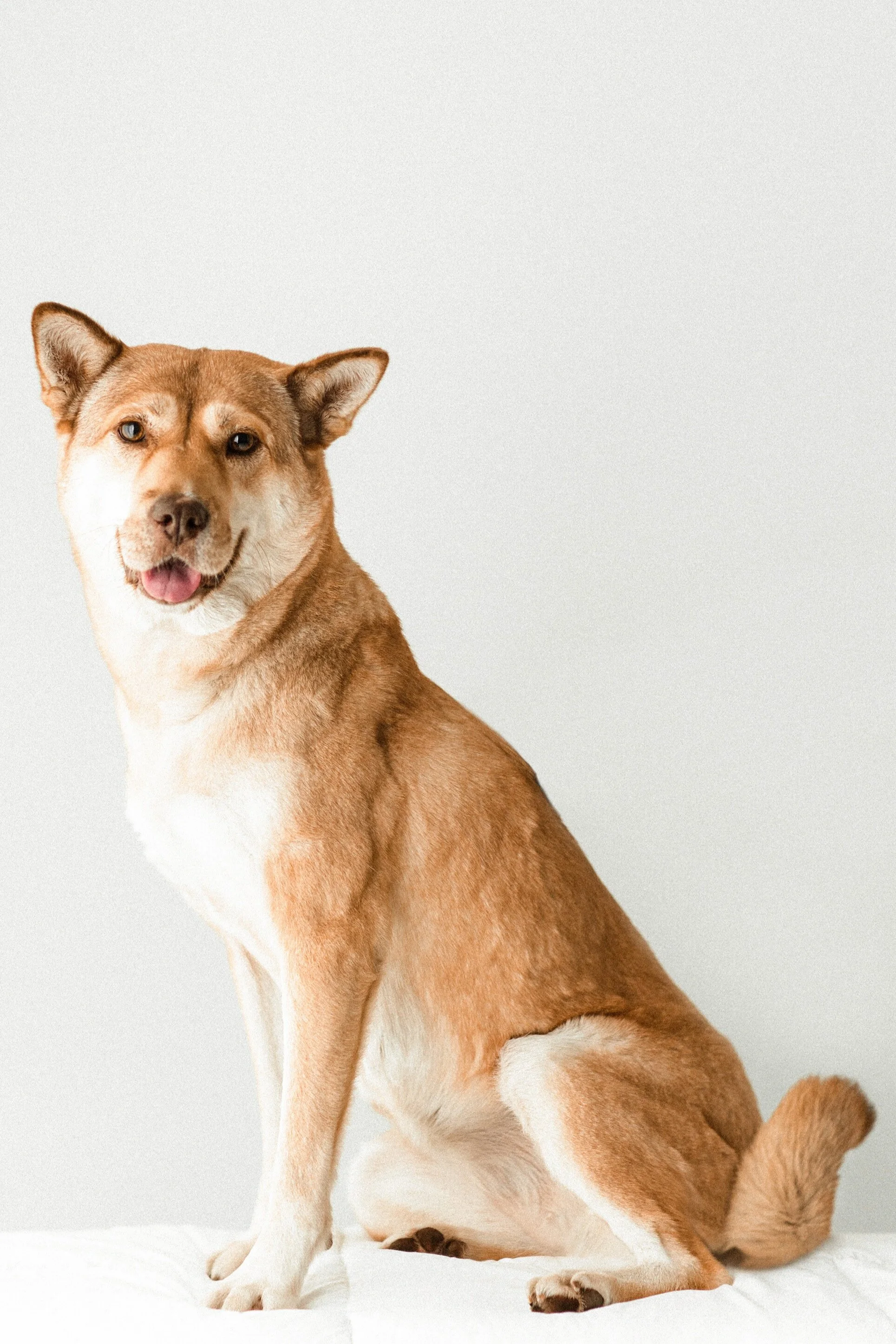 Heidi