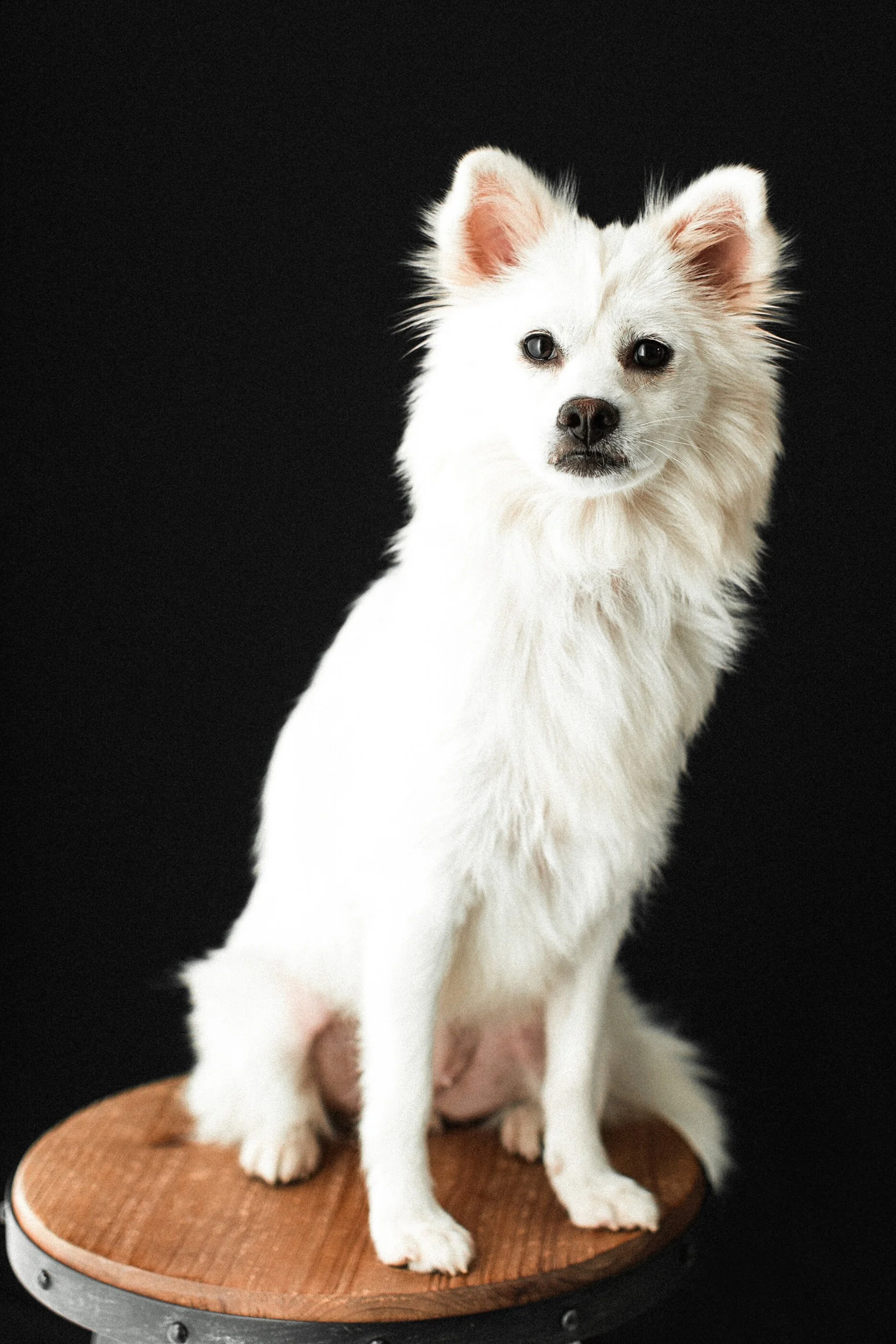 Lila