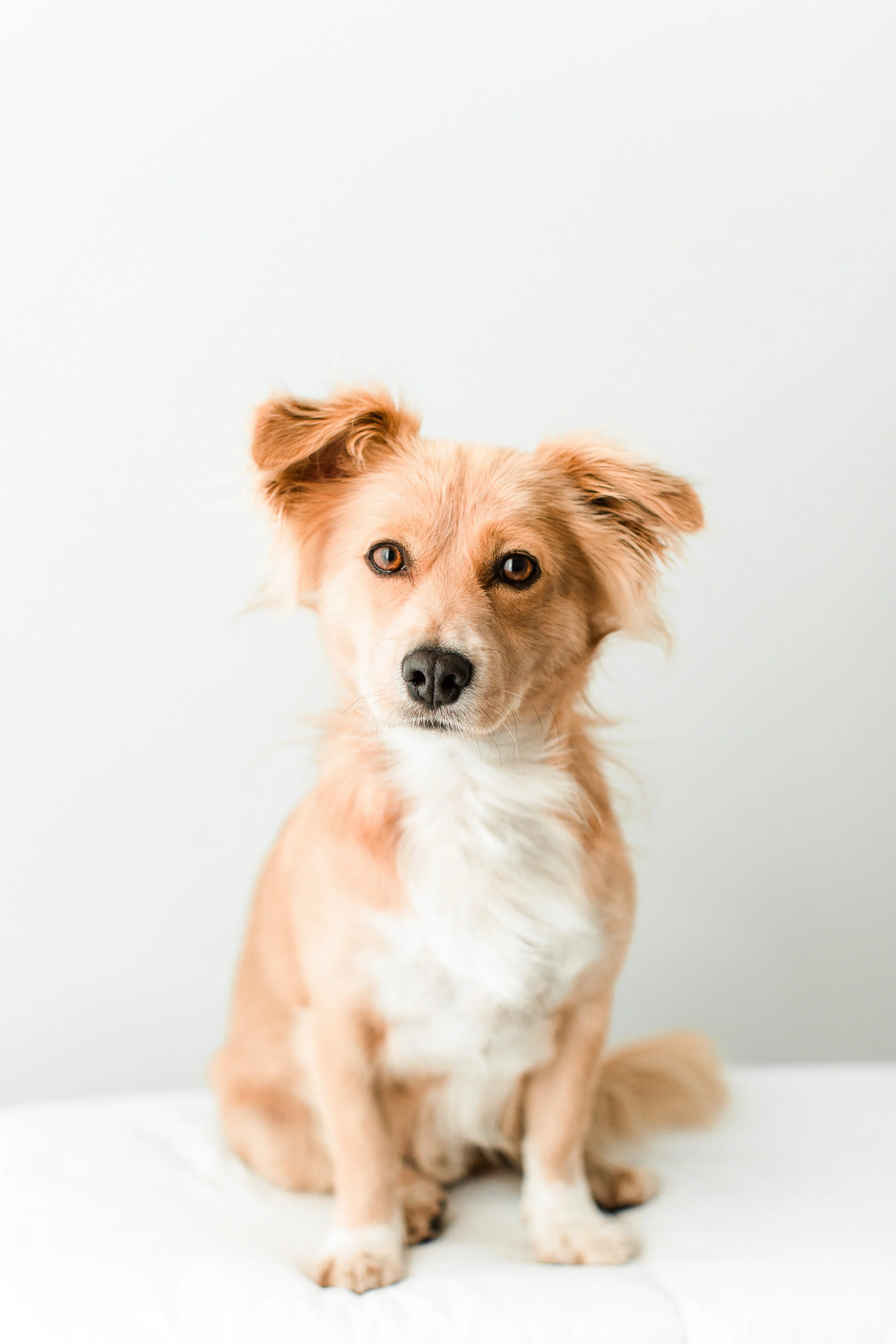 Oscar