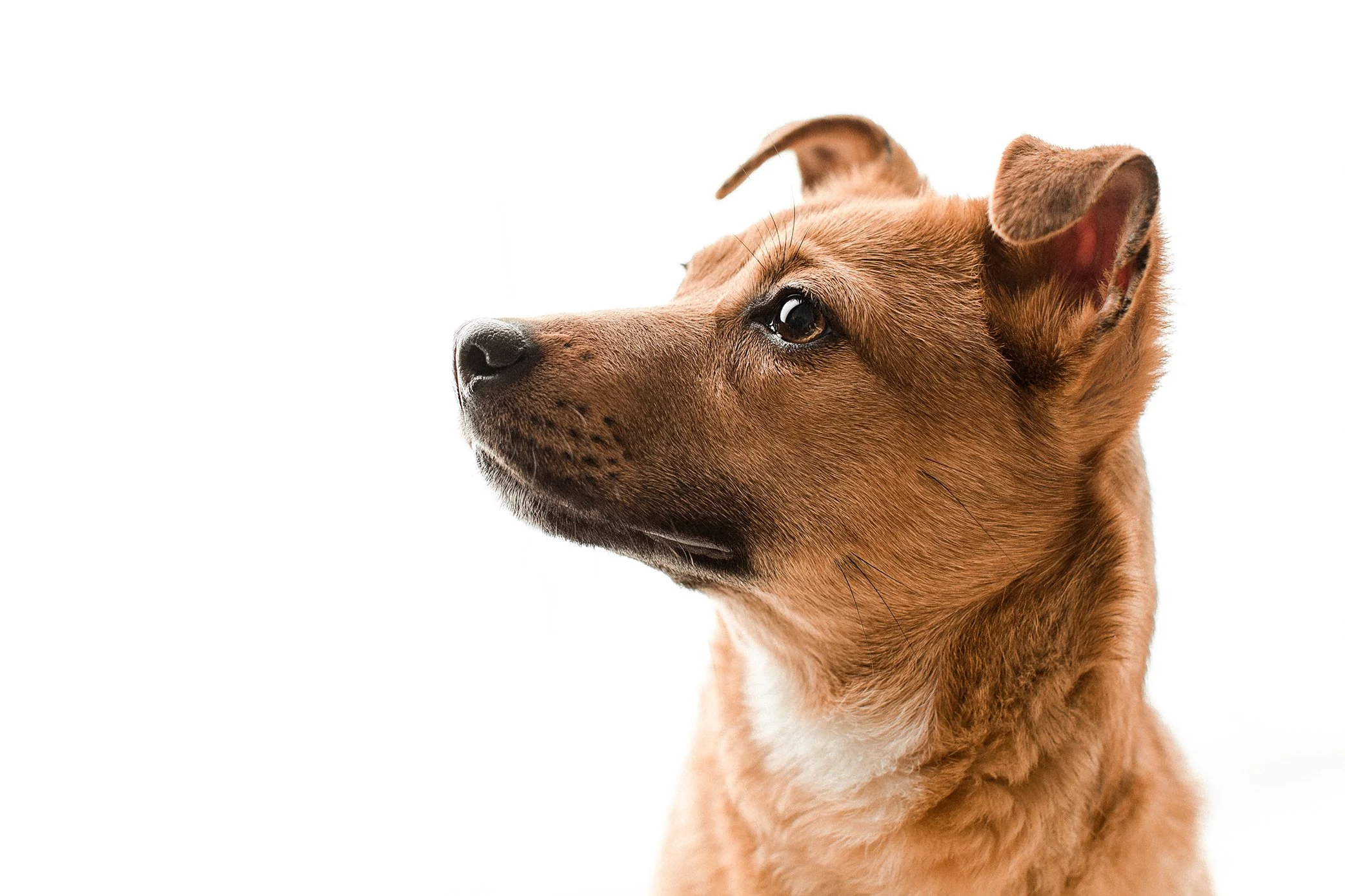 Minji_Wildhearts03.jpg