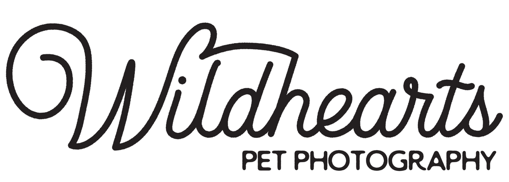 Wildhearts Pet Photography