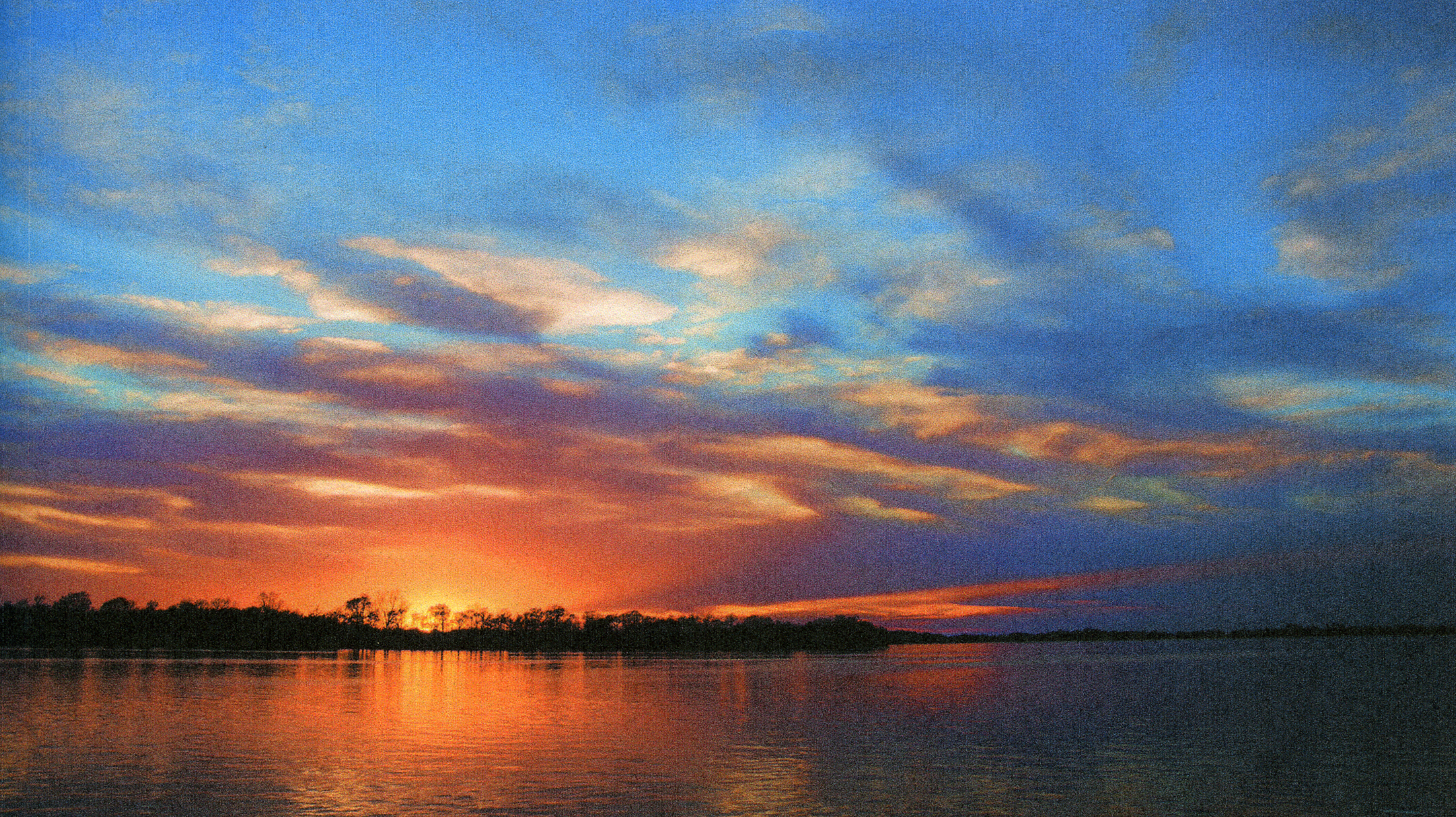 57th Image- Untitled.jpg