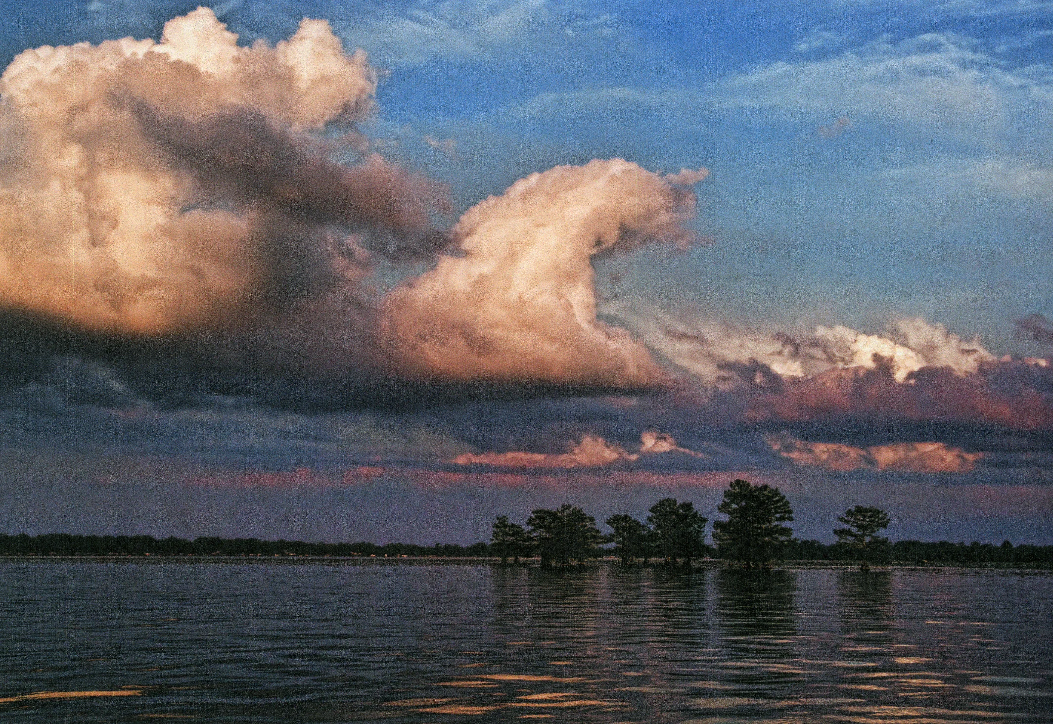 45th Image-  Untitled.jpg