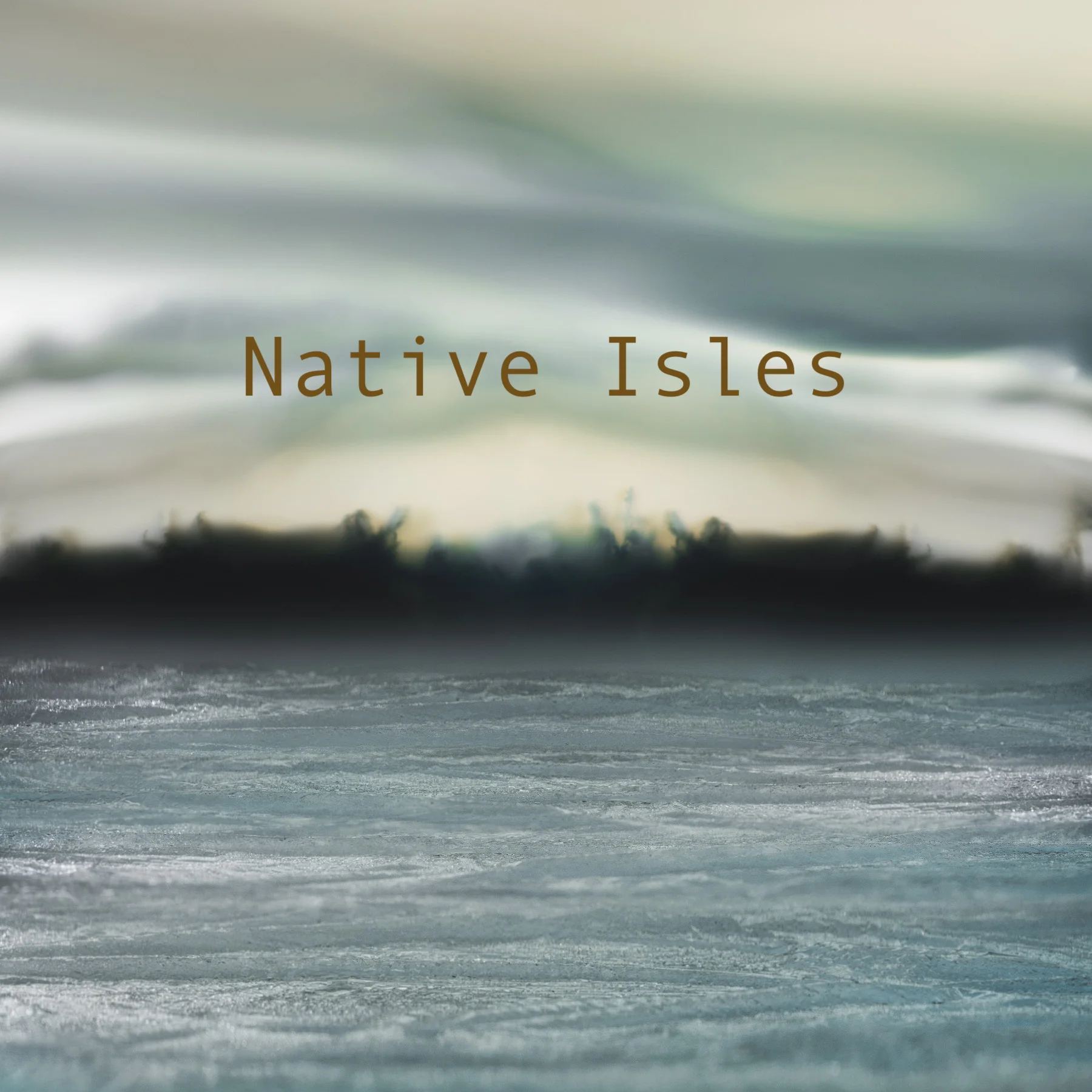 Final Native Isles Cover-6x6-no-text-for-print.jpg