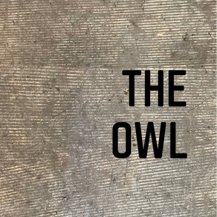 the+owl.jpg