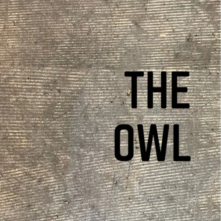 The Owl - 6 months