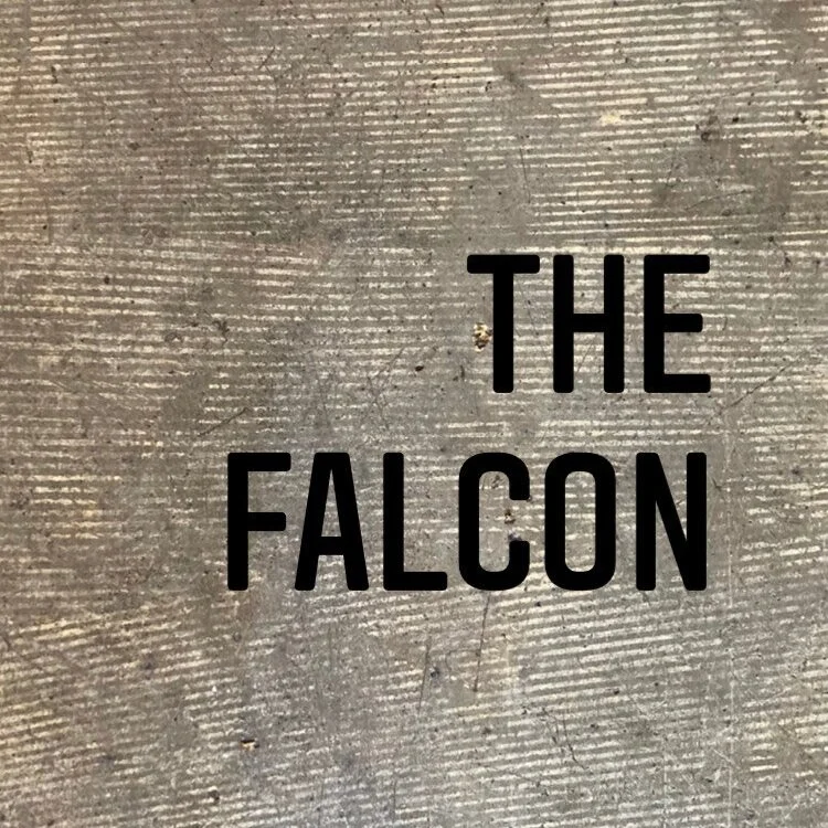 The Falcon - 6 months