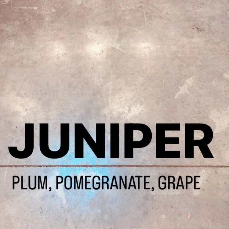 juniper new.JPG