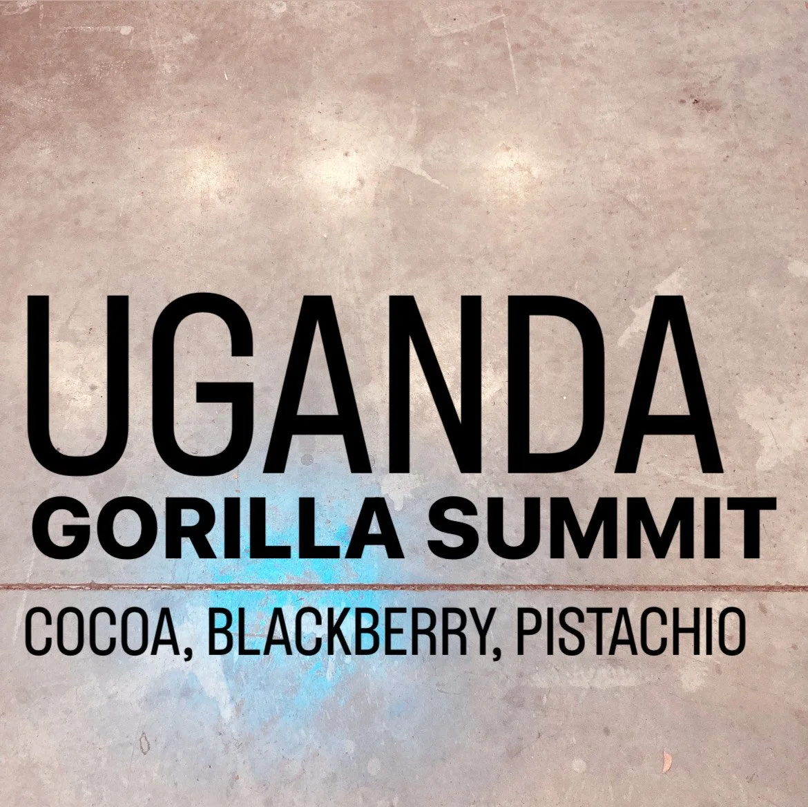 uganda gorilla summit.JPG
