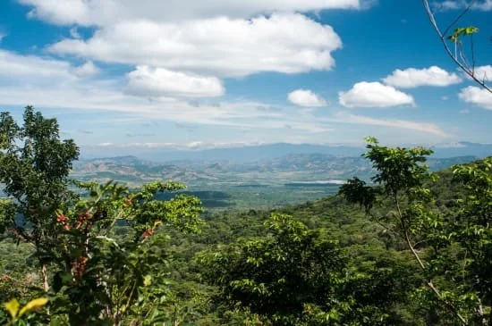 el salvador balam 2.jpg