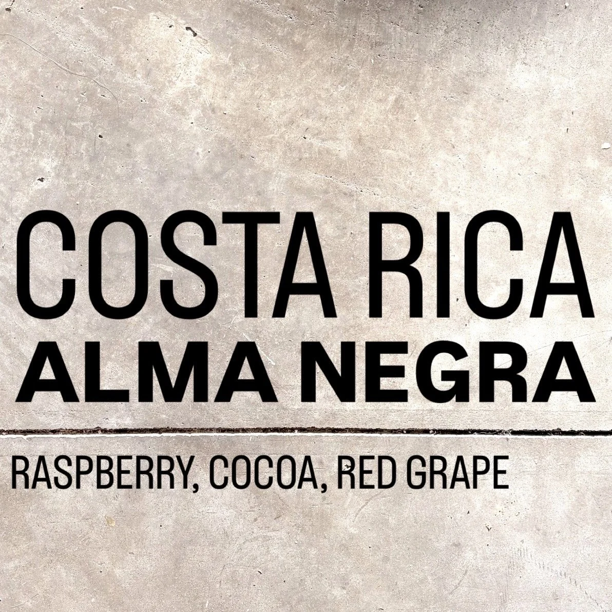 alma negra.jpeg