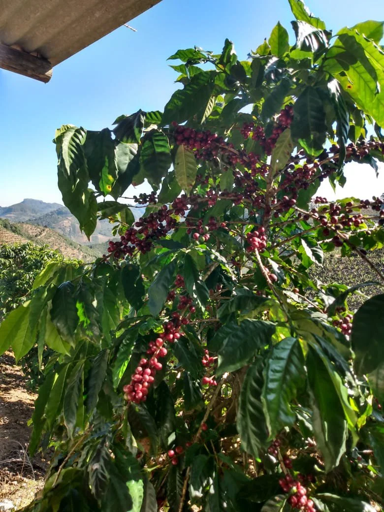 costa rica los angeles.jpg