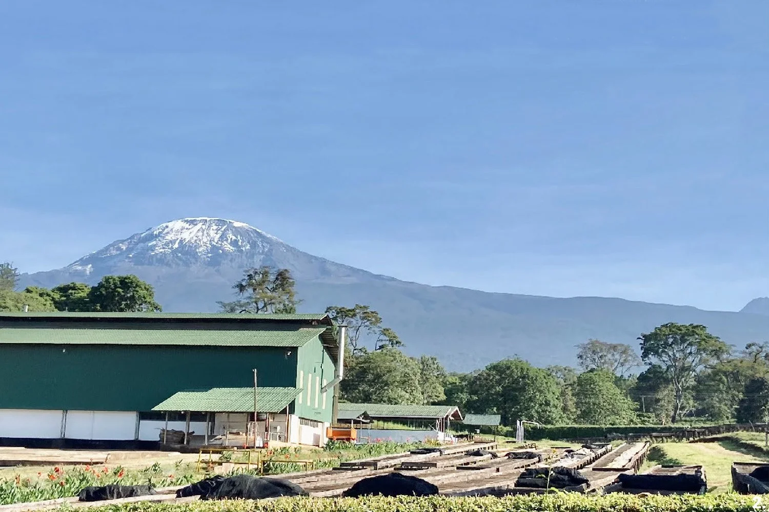 tanz kilimanjaro 2.jpg