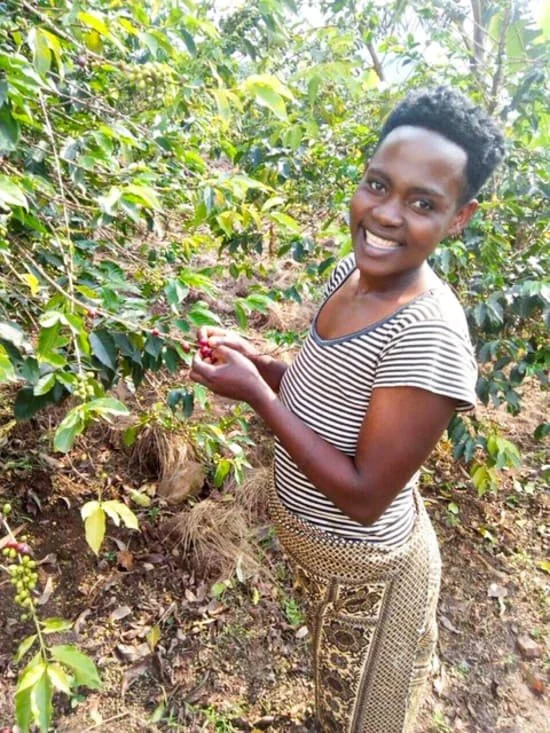 uganda gorilla summit 3.jpg