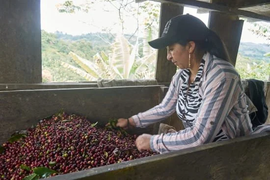 colombia cauca 2.jpg