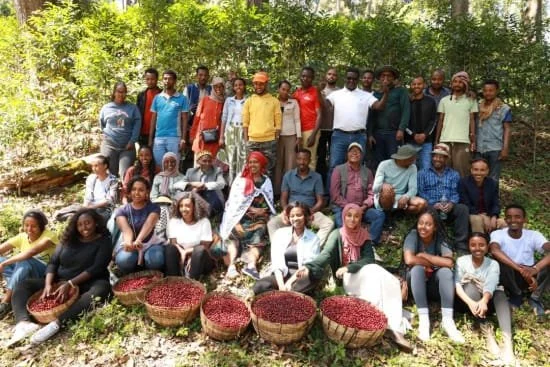 Ethiopia GUJI_Kayon_Mountain.jpg