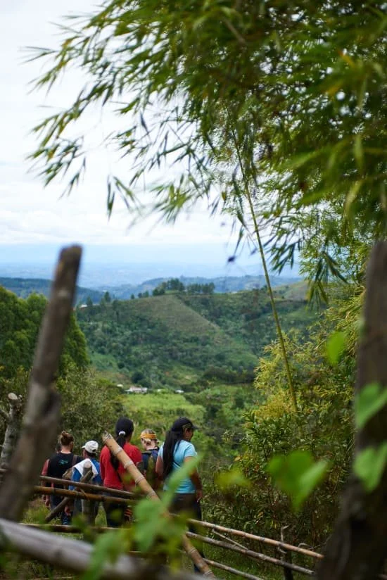 colombia cauca 3.jpg