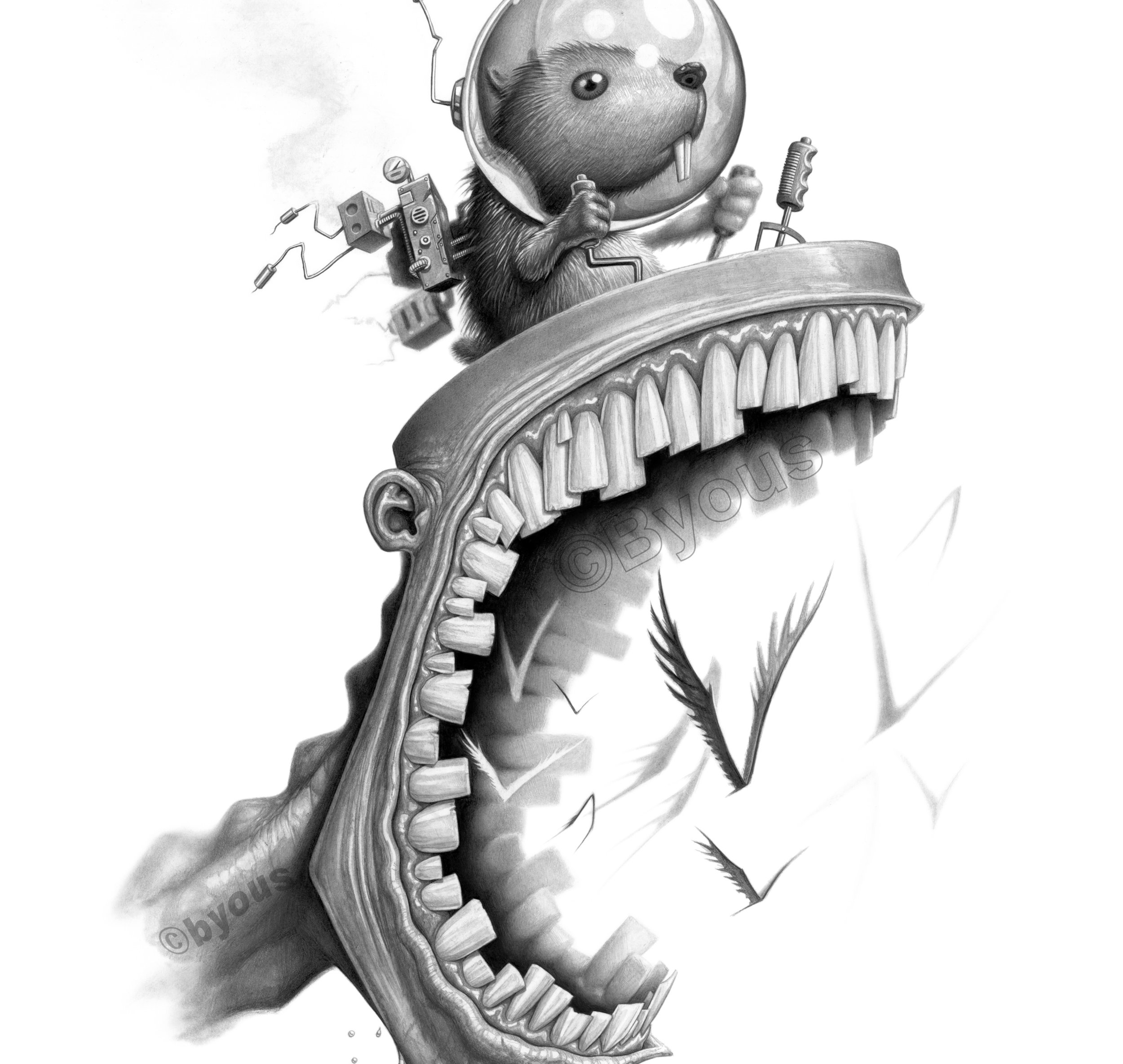 Gopher Pilot 19x24" (graphite) $5K USD
