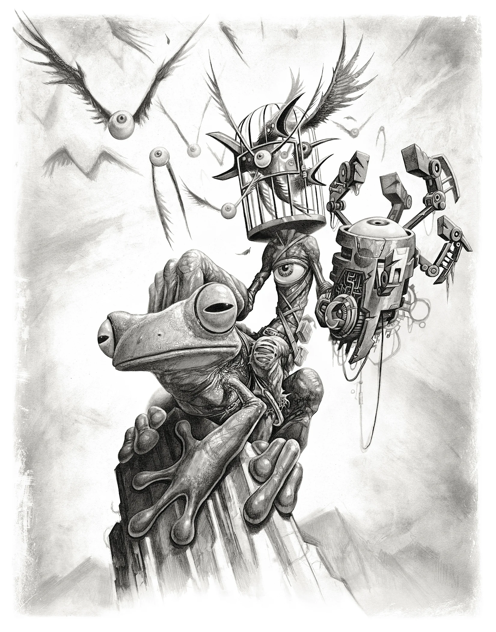 FrogRider_AP01.jpg