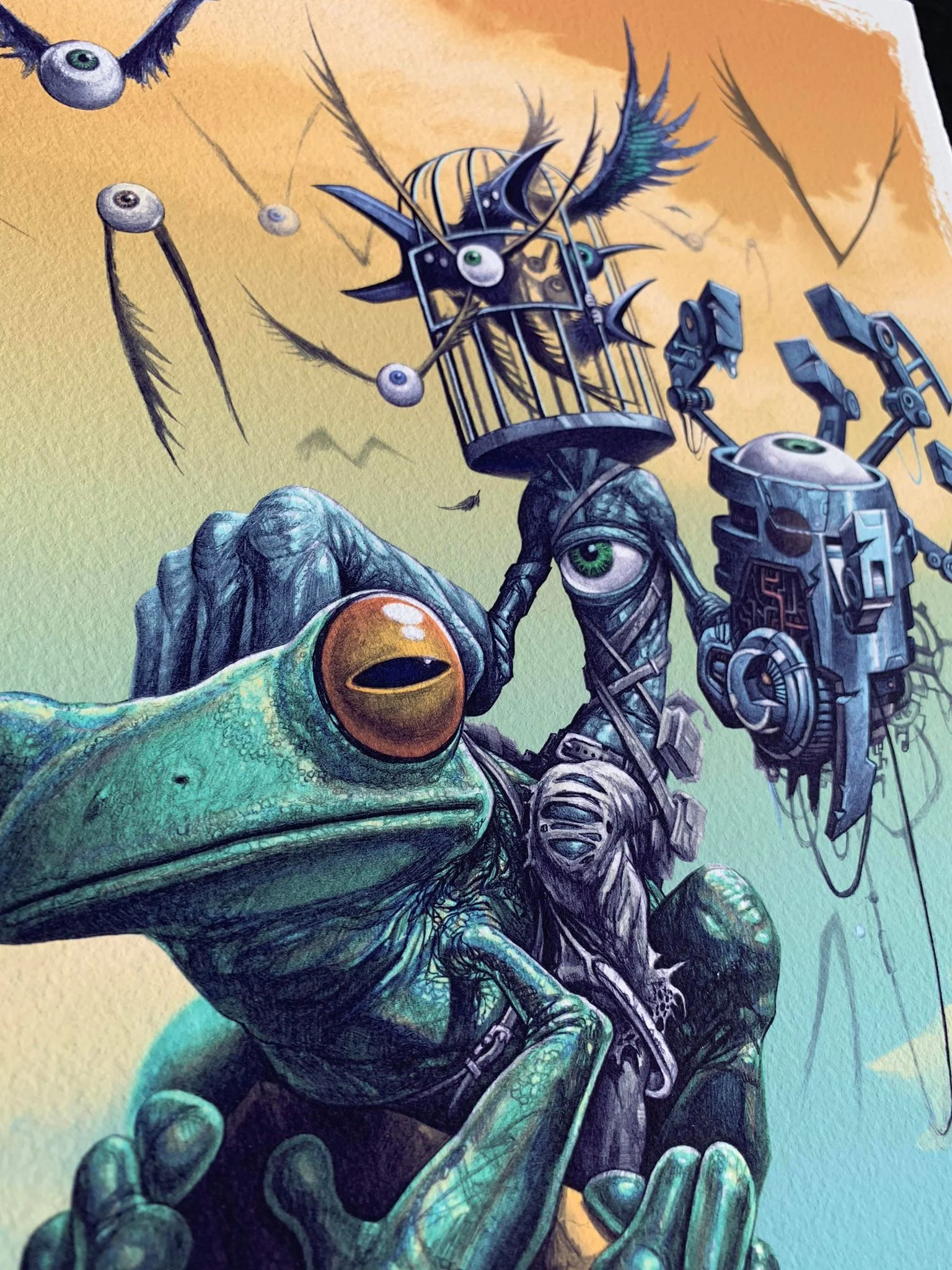 FrogRider_Color03.jpg