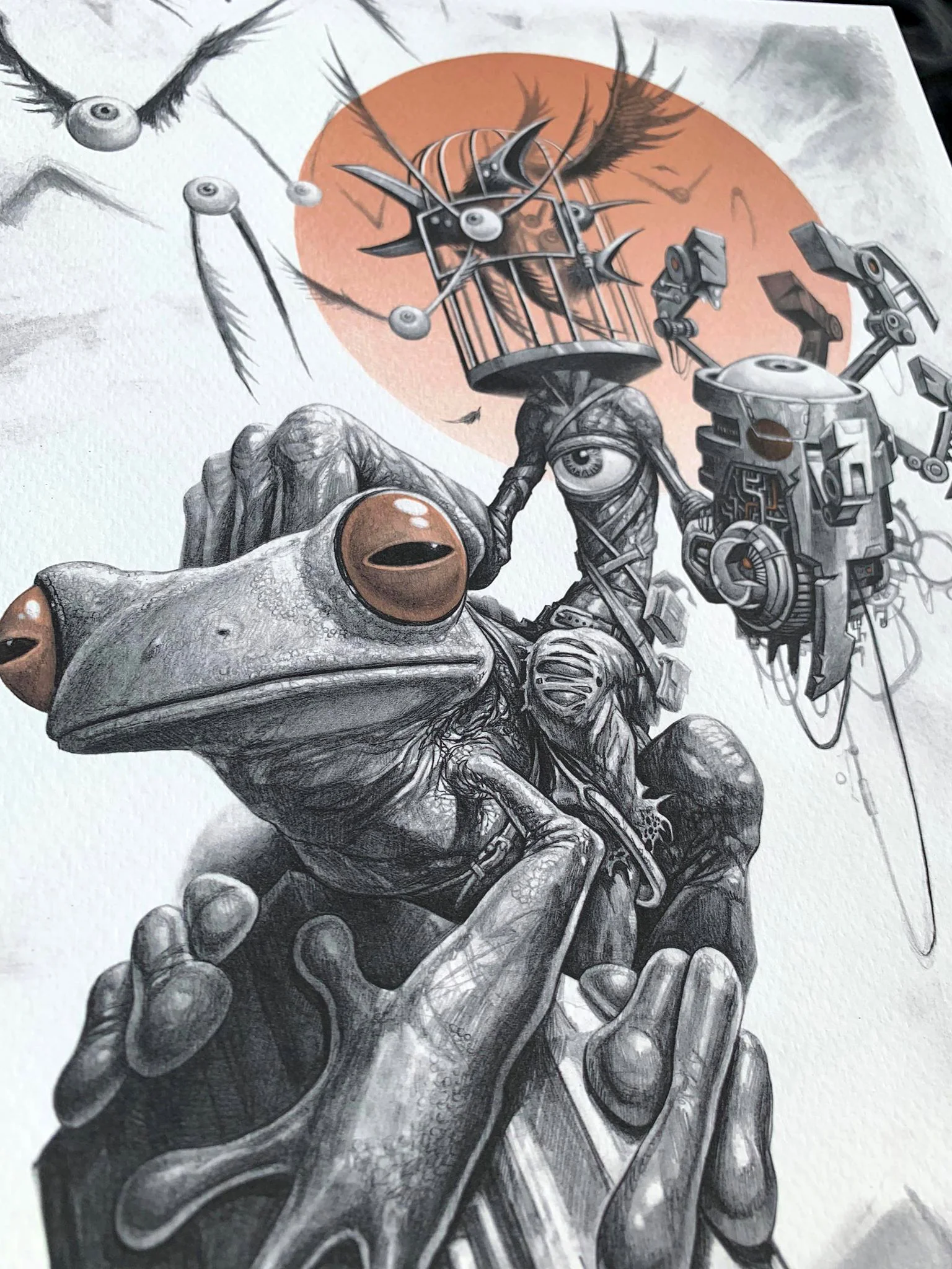 FrogRider_Red03.jpg