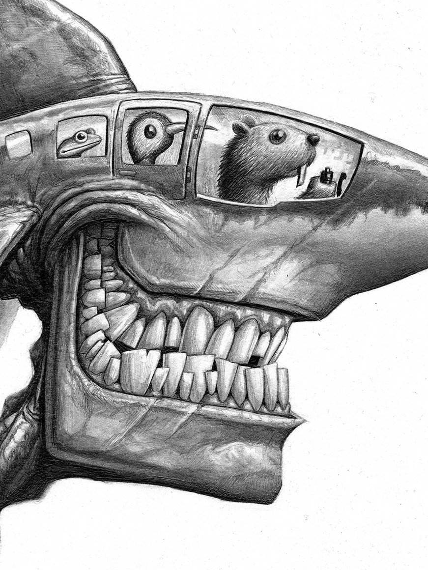 sharkhead_sketch02.jpg