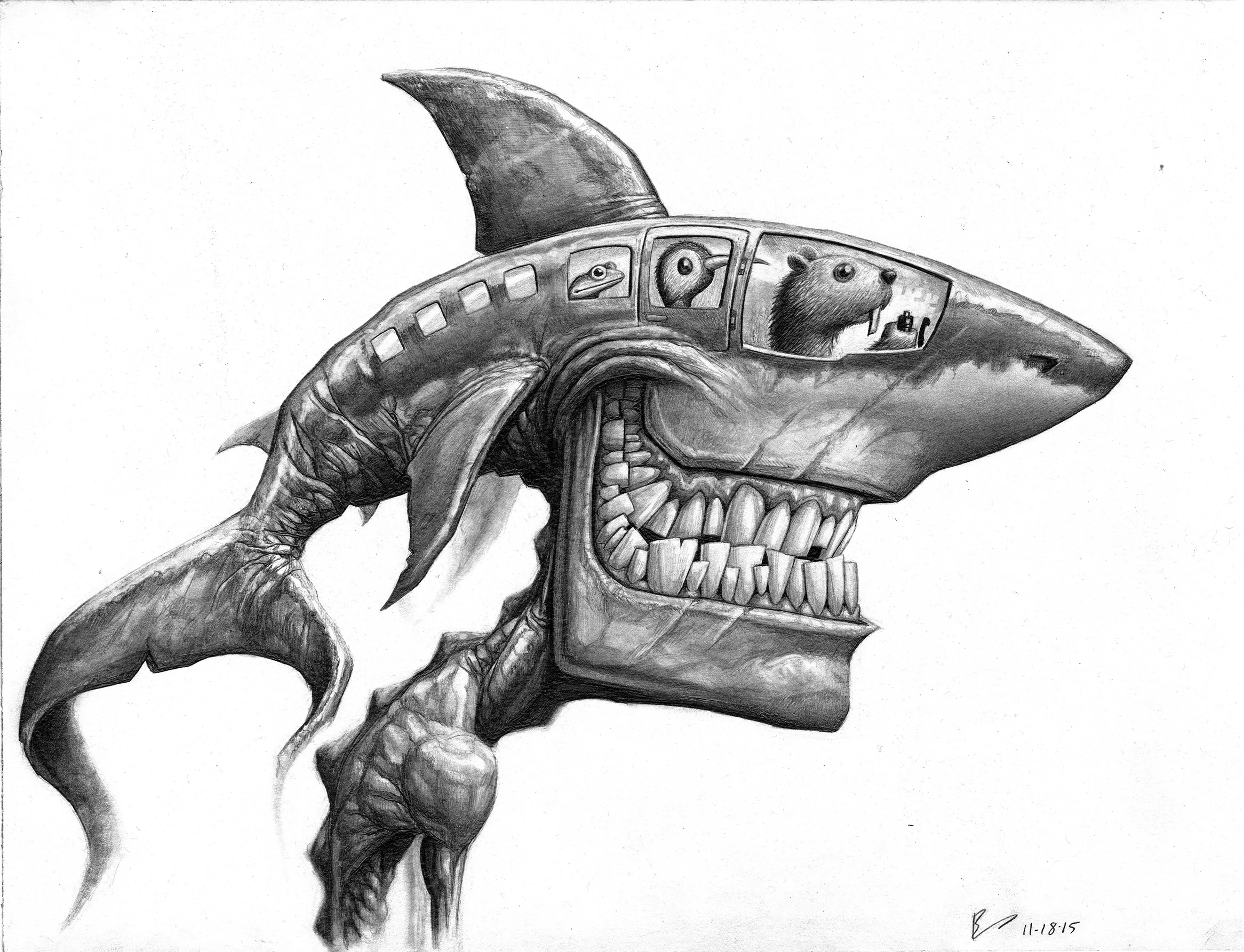 sharkhead sketch.jpg