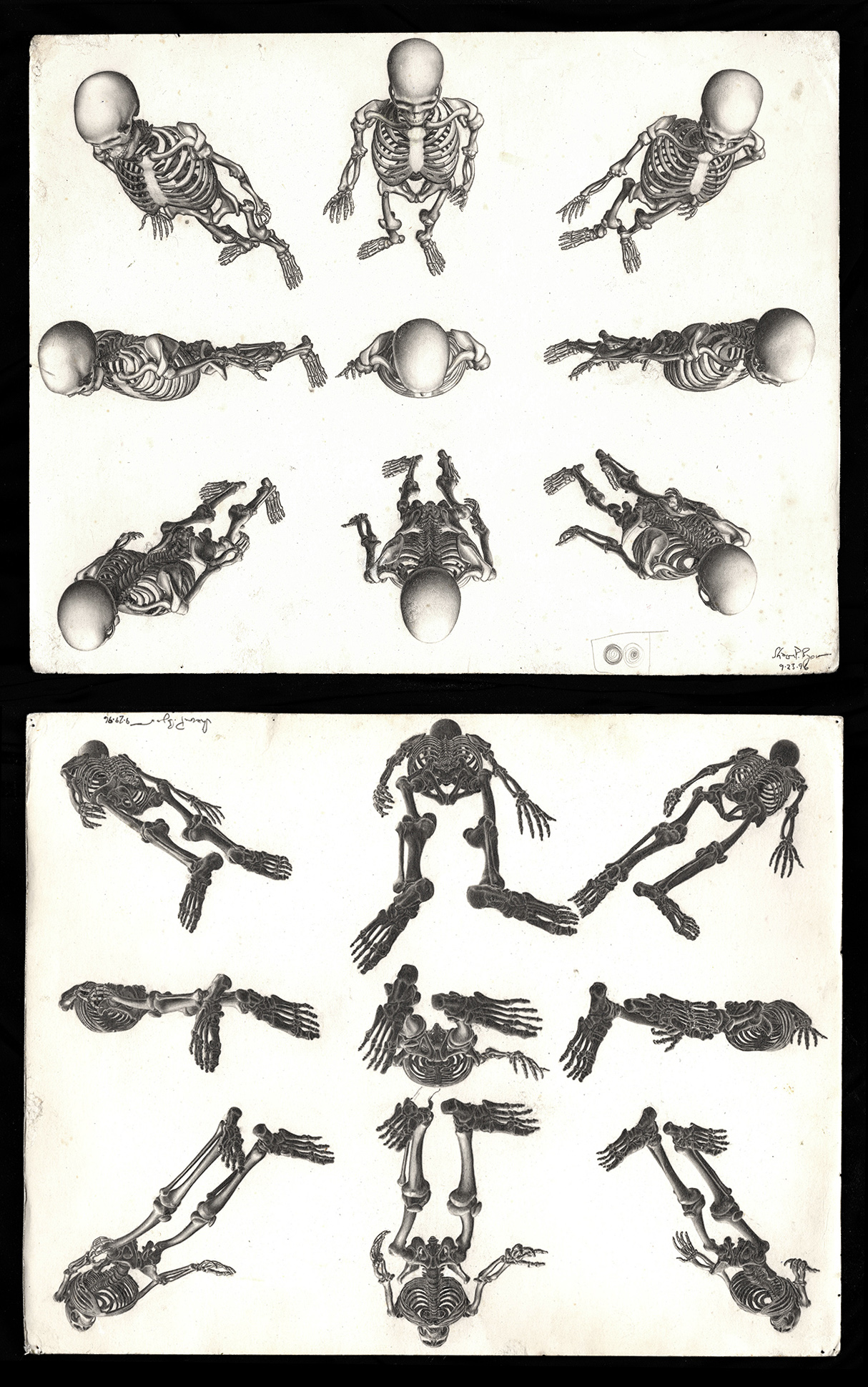 skeletons_sup_and_inf.jpg