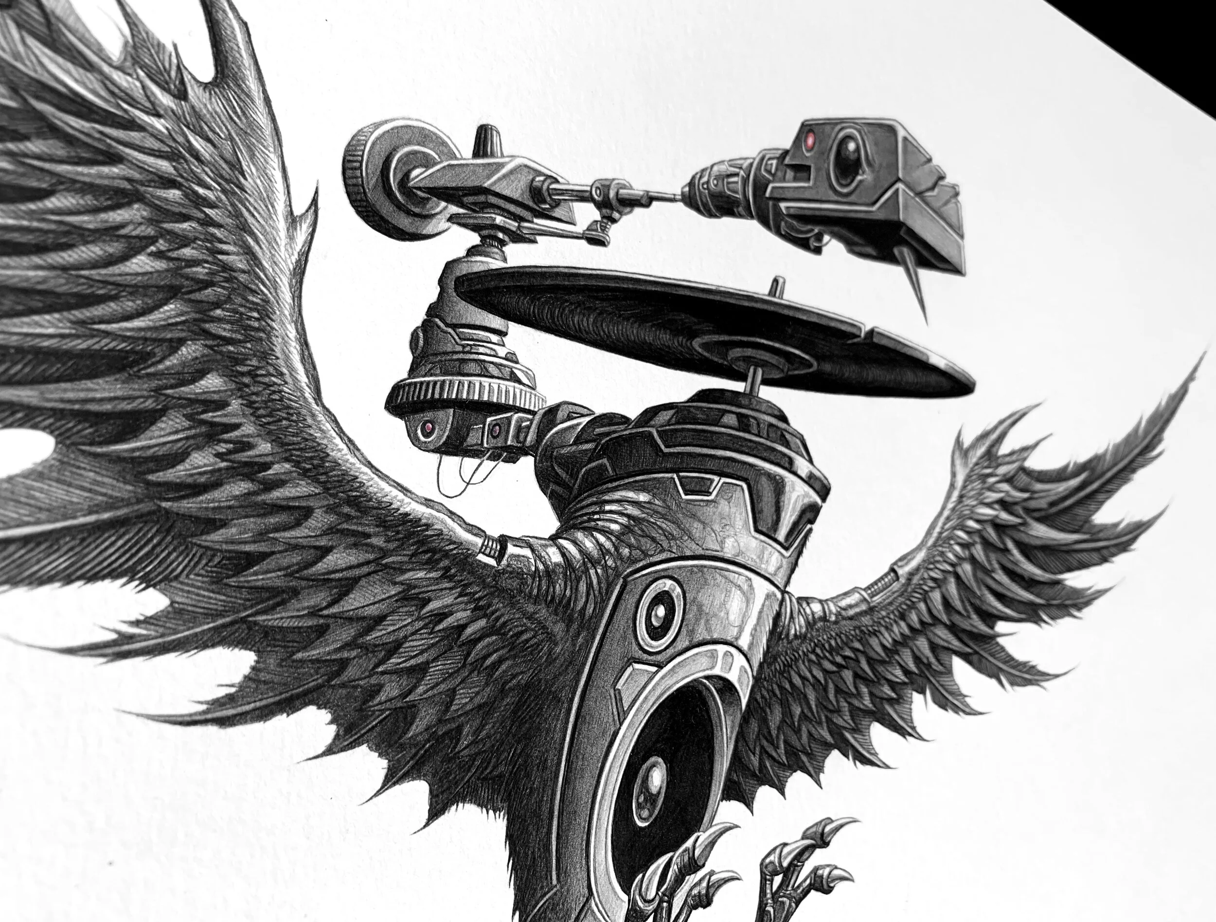 retrobird03.jpg