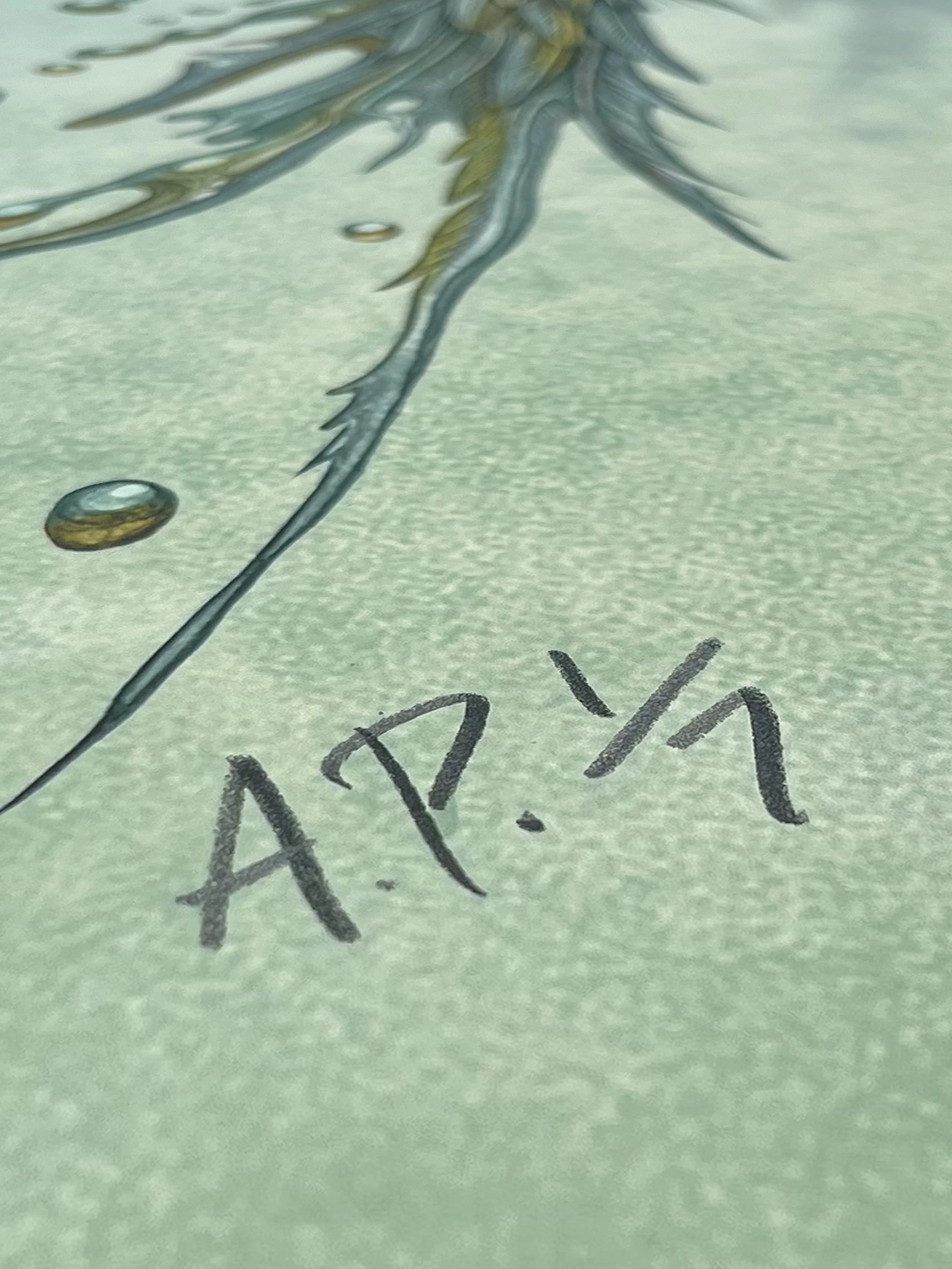 ac ap01.jpg