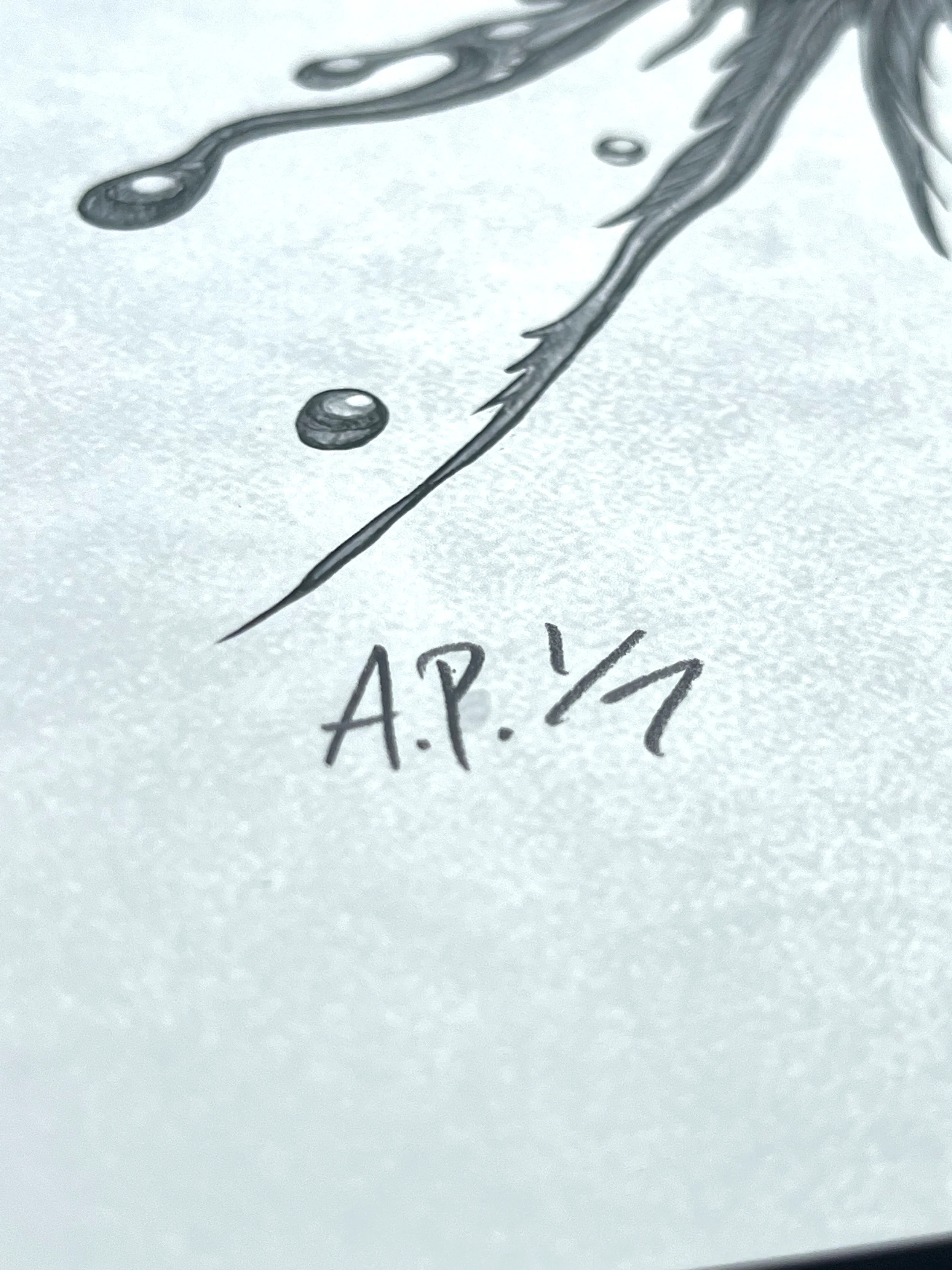 avap01.jpg
