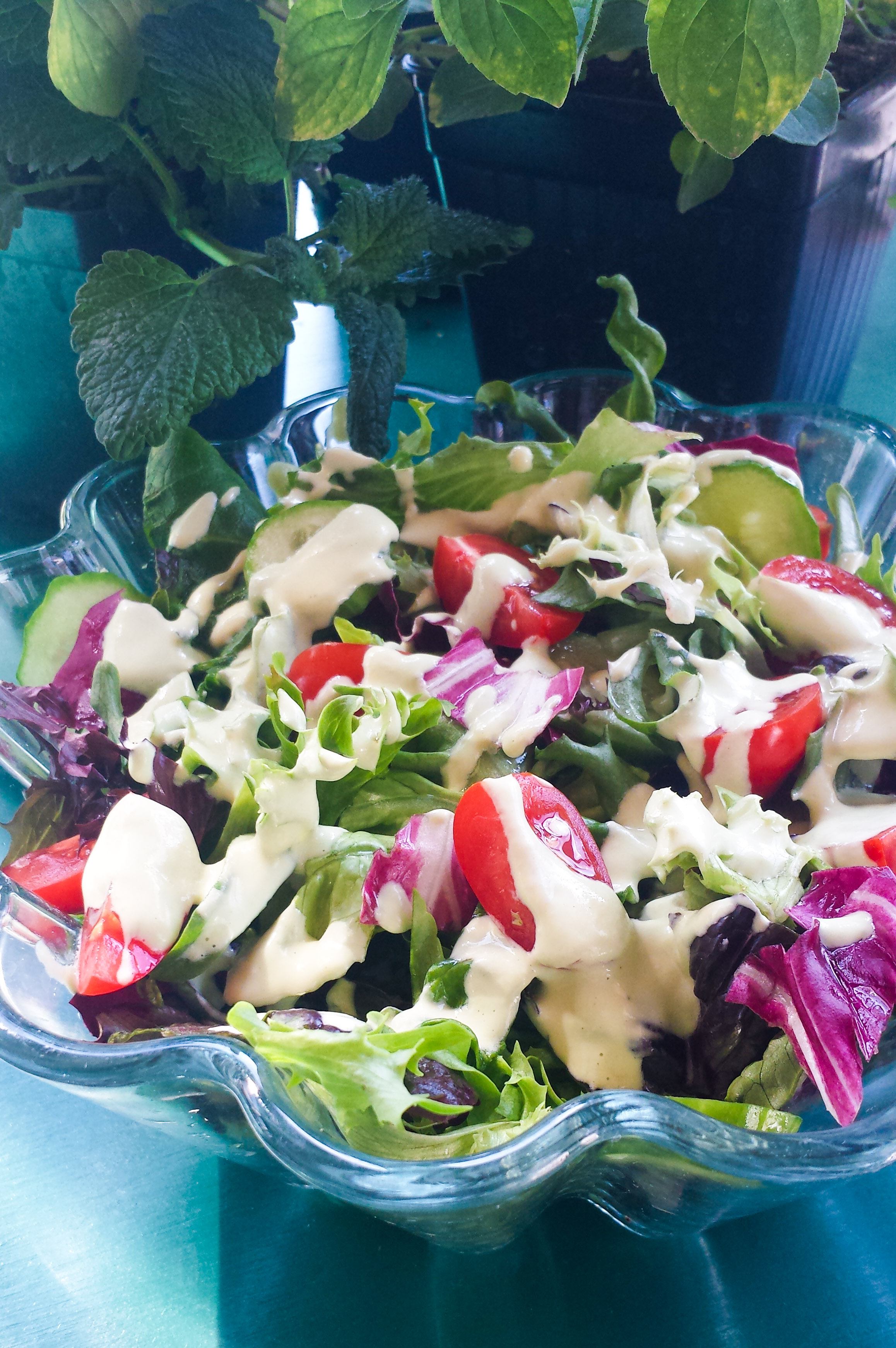 saladwithdressing.jpg
