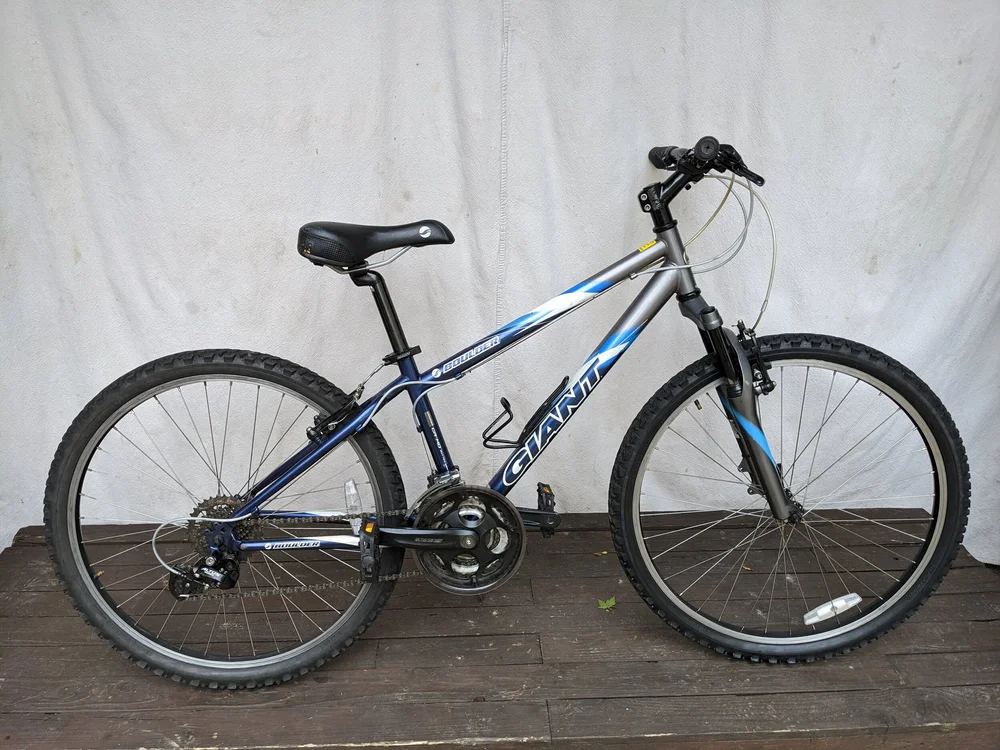 schwinn krate bicycle Coal Krate 20in