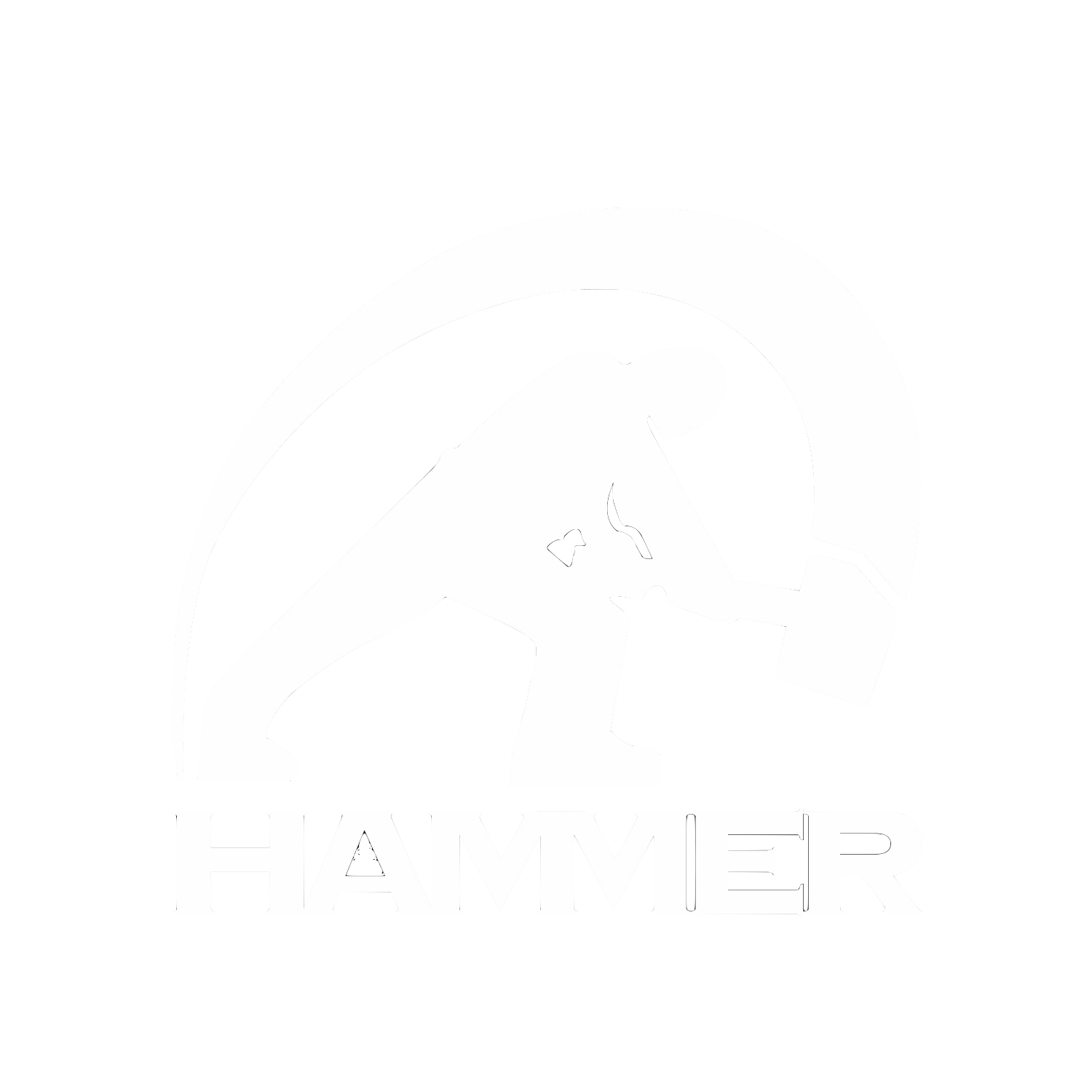 Hammer Design Group