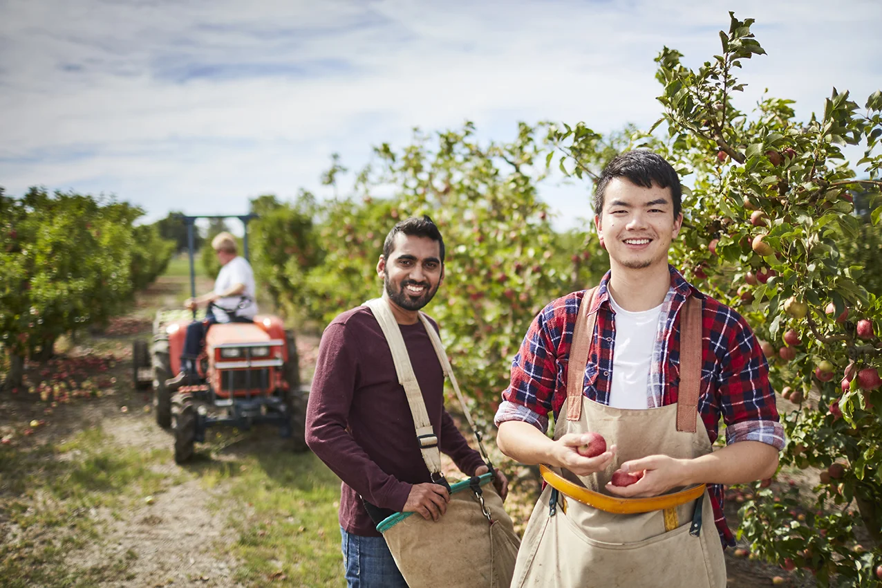 160405 Fair Work Orchard 3305.jpg