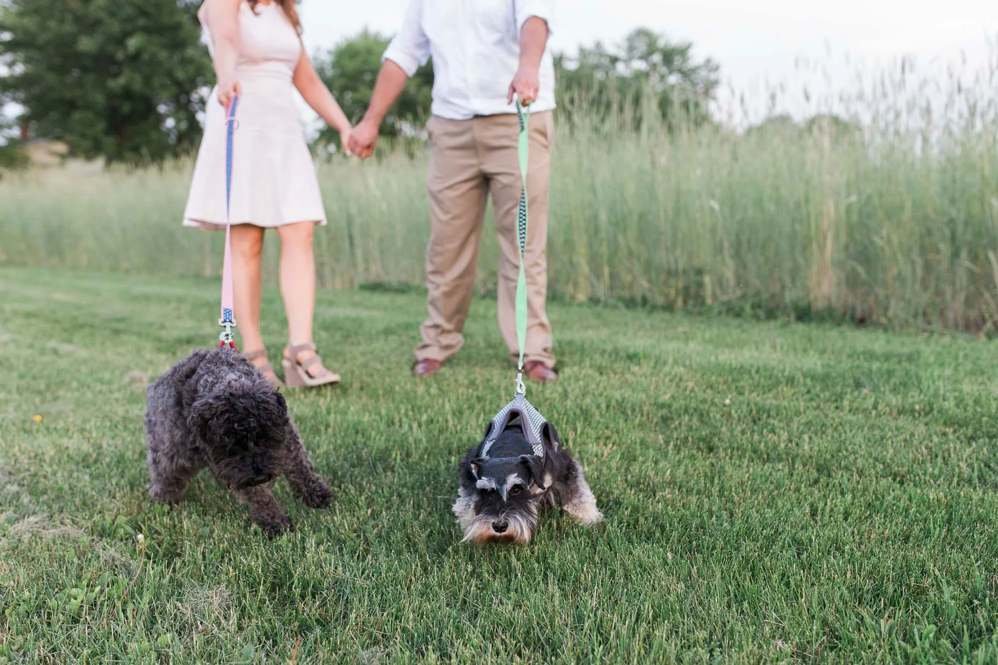 lewisburg engagement