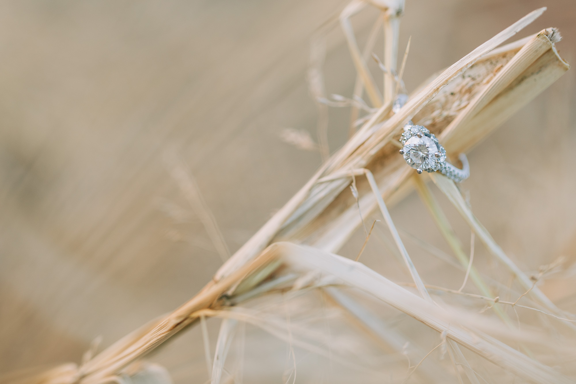 central-pa-engagement-session-0712.jpg
