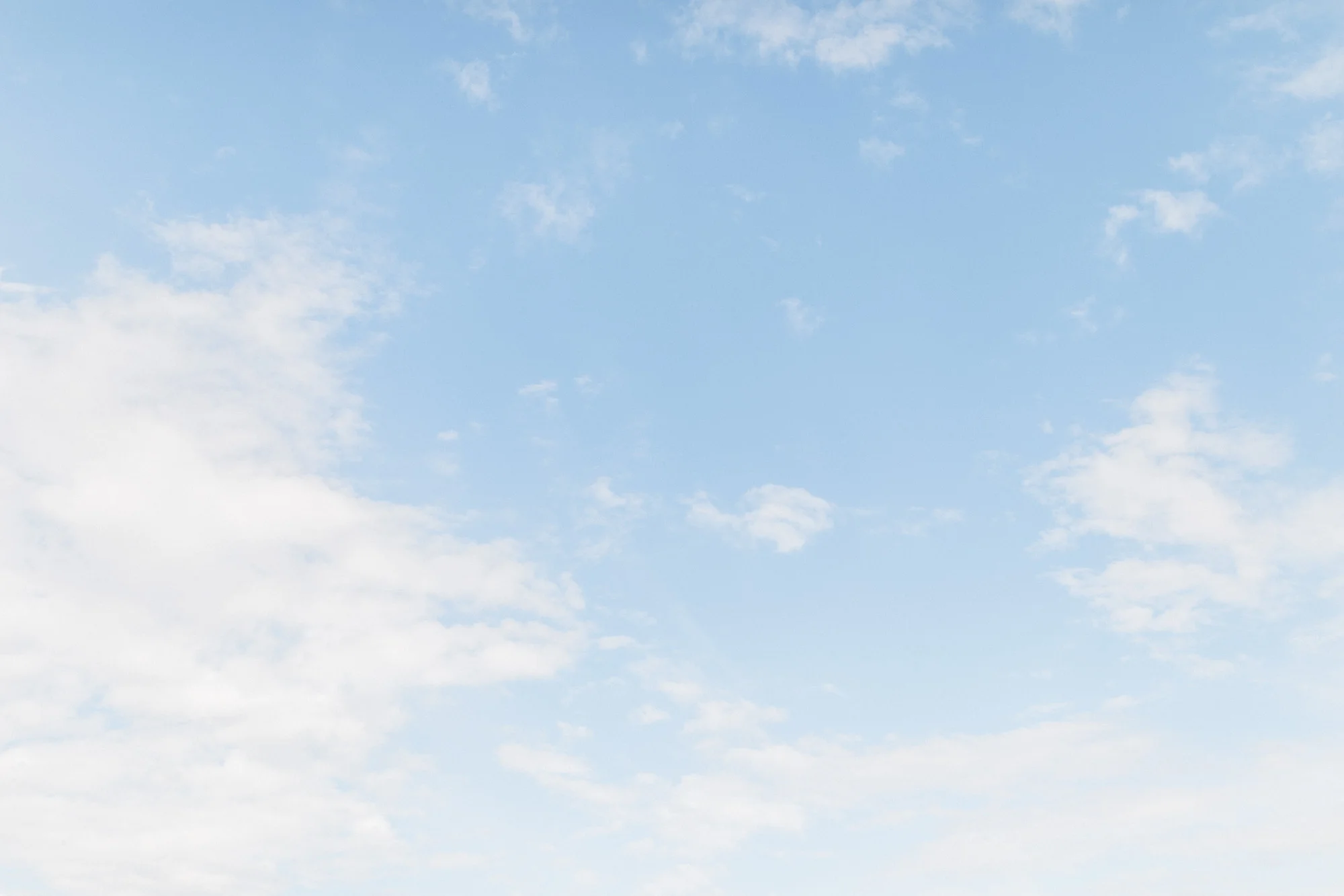 bald-eagle-state-park-elopement-5497.jpg