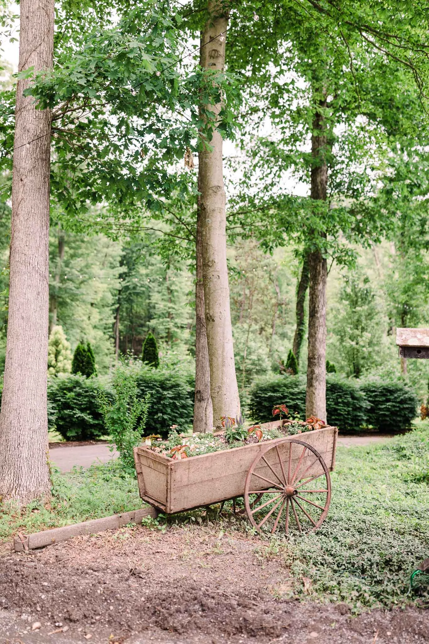 June-backyard-wedding-8717.jpg