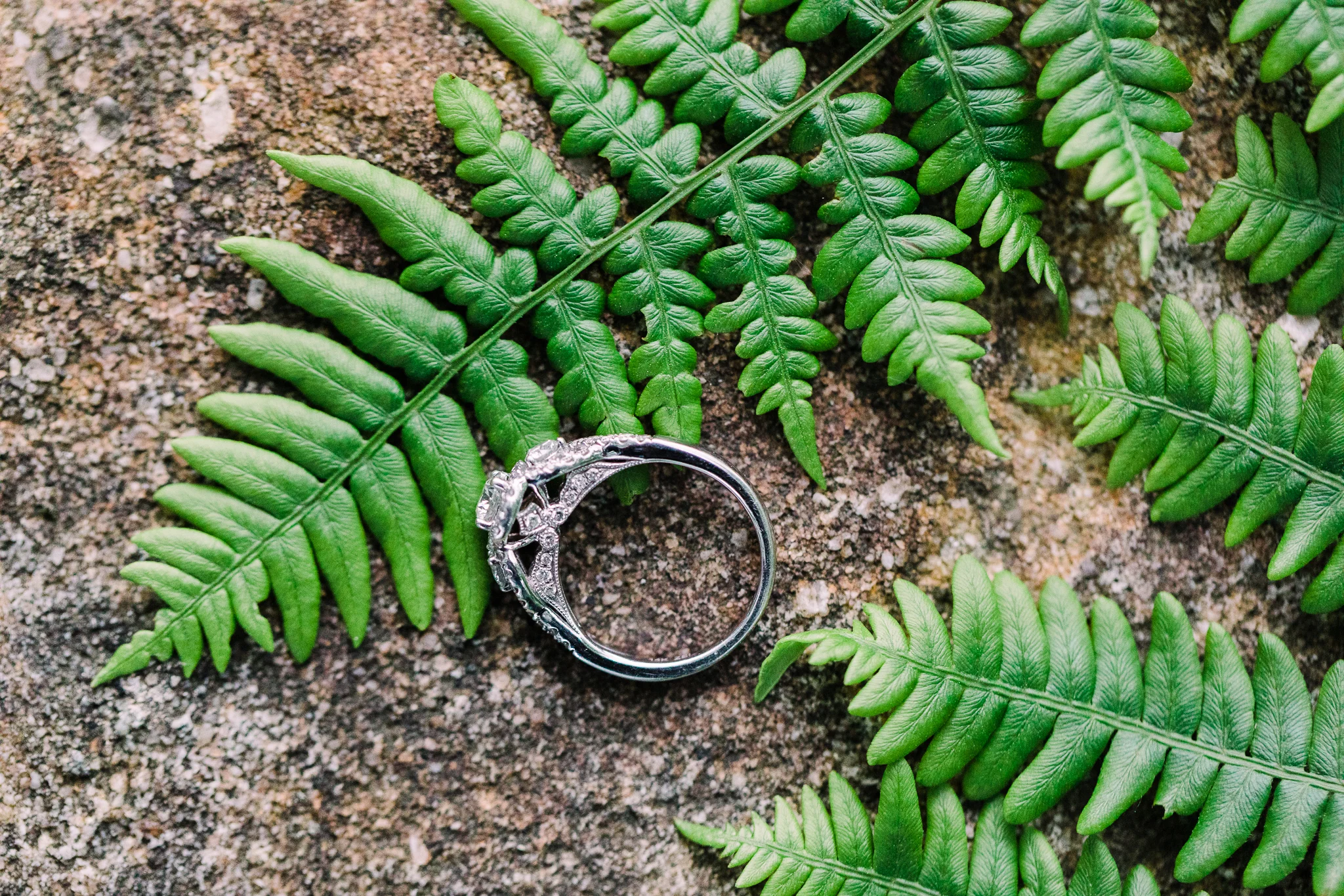 Kettle-creek-state-park-engagement-9803.jpg