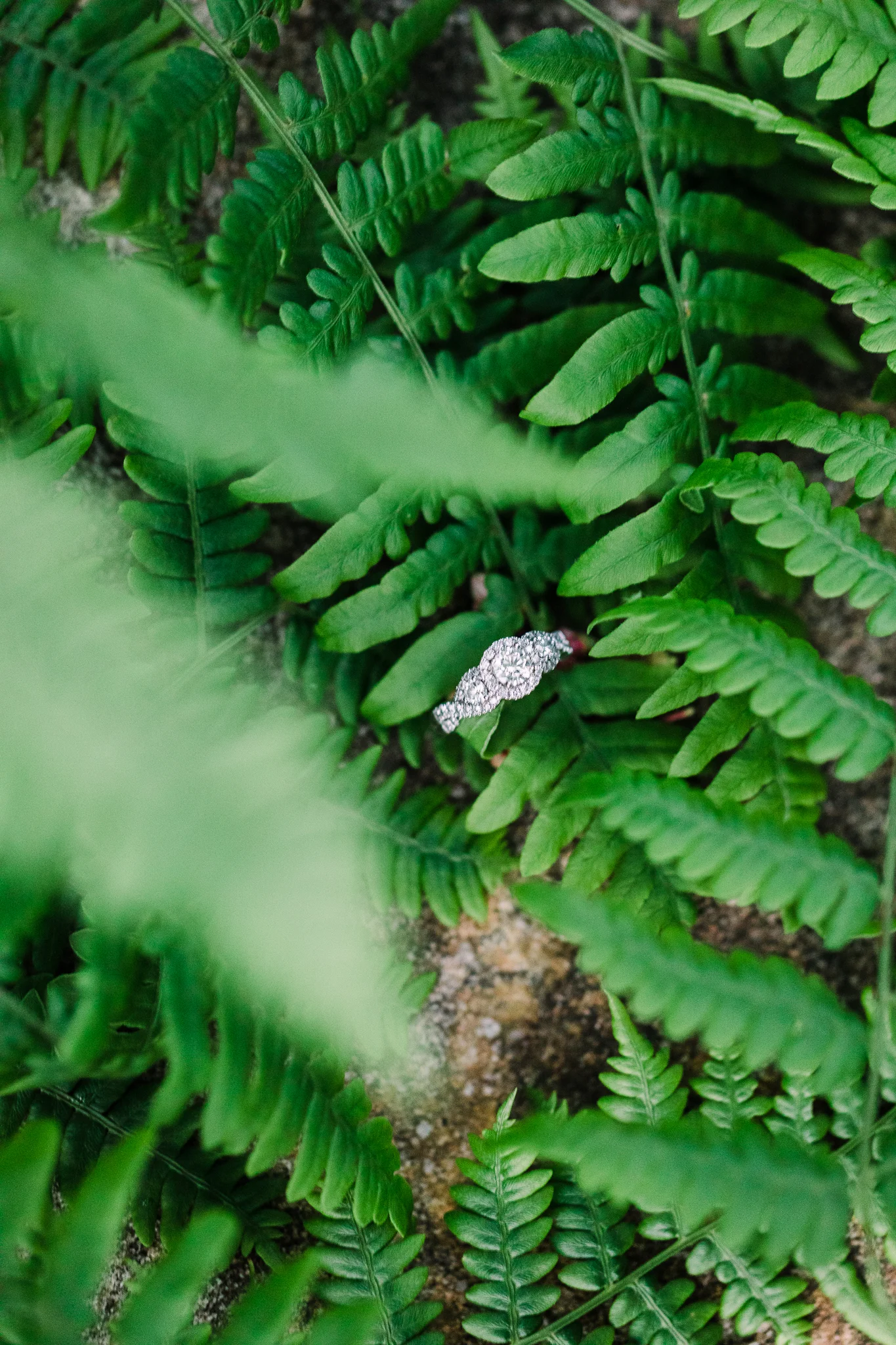 Kettle-creek-state-park-engagement-9814.jpg