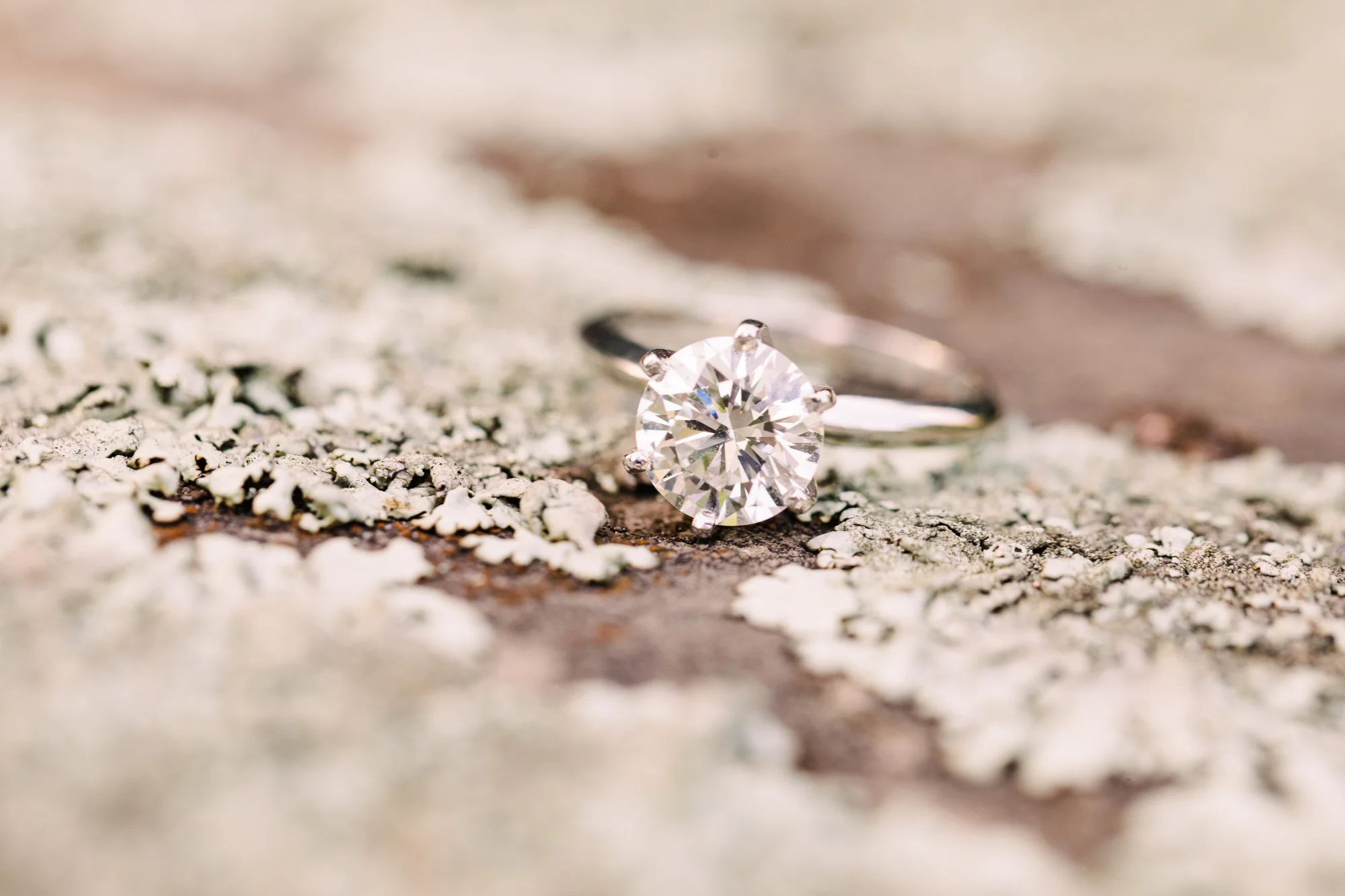 bush-house-muncy-engagement-session-0027.jpg
