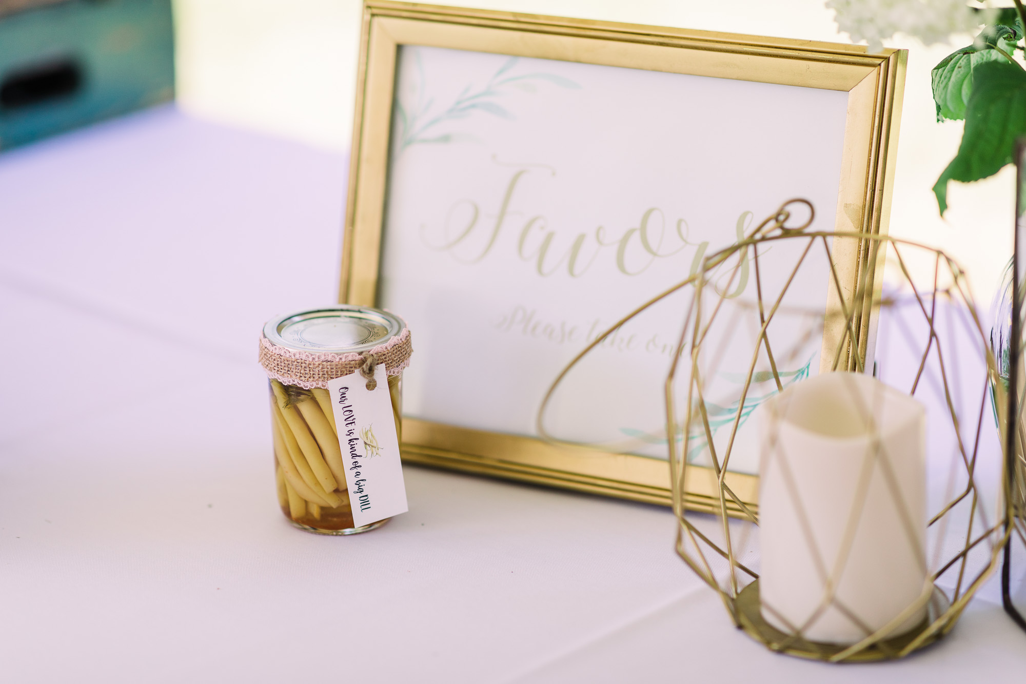 Muncy-backyard-farm-wedding-4612.jpg