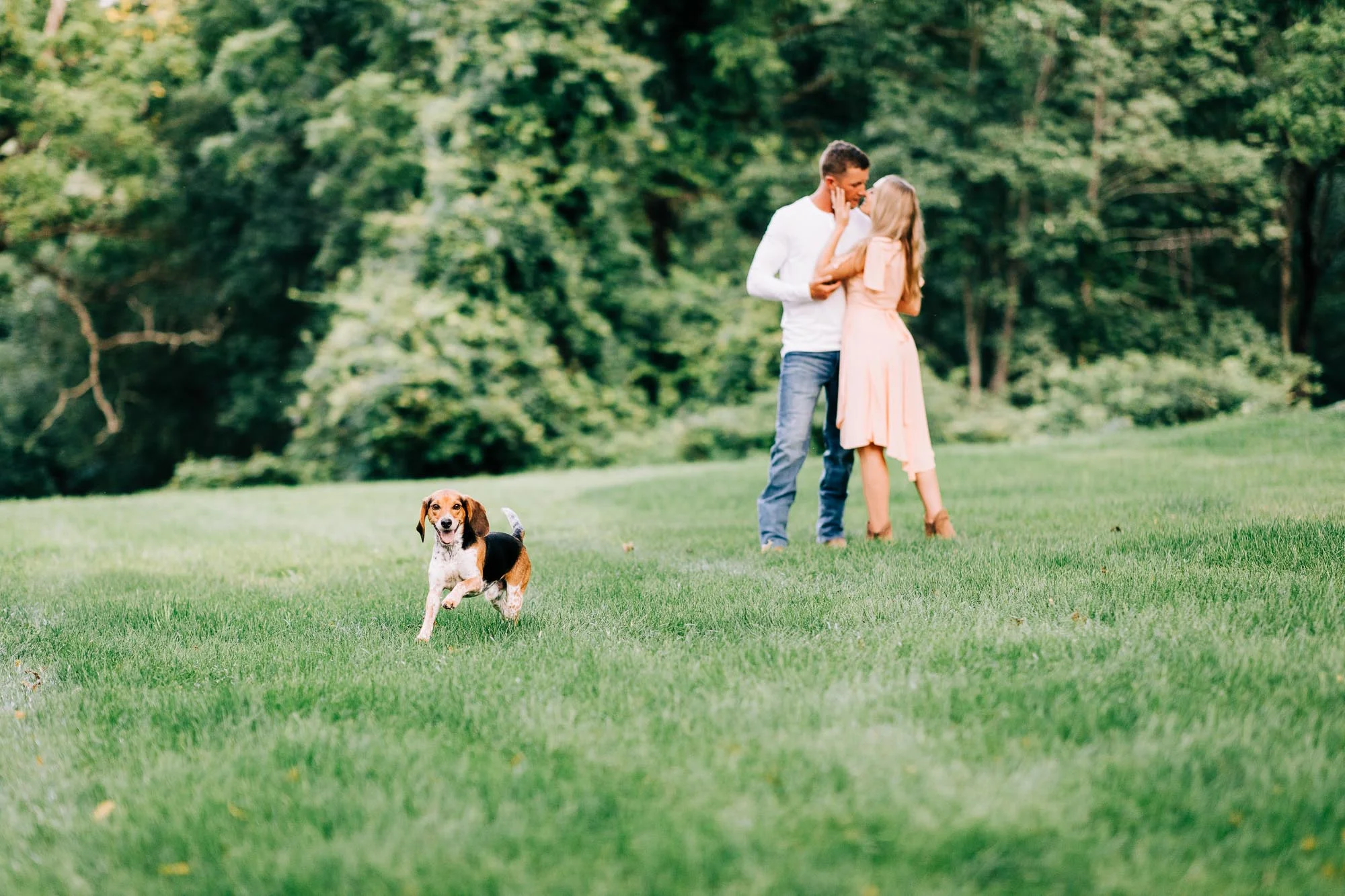 Sweet-valley-engagement-session-8643.jpg