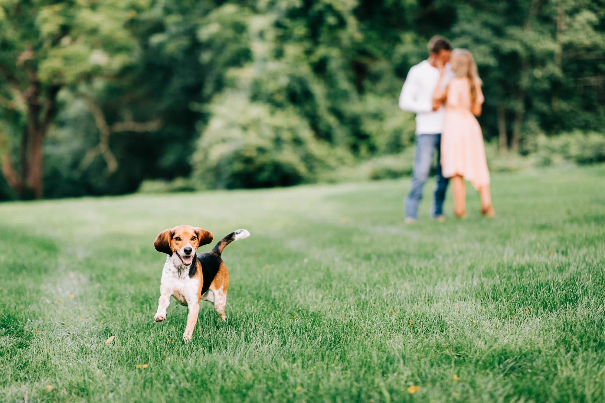 Sweet-valley-engagement-session-8646.jpg