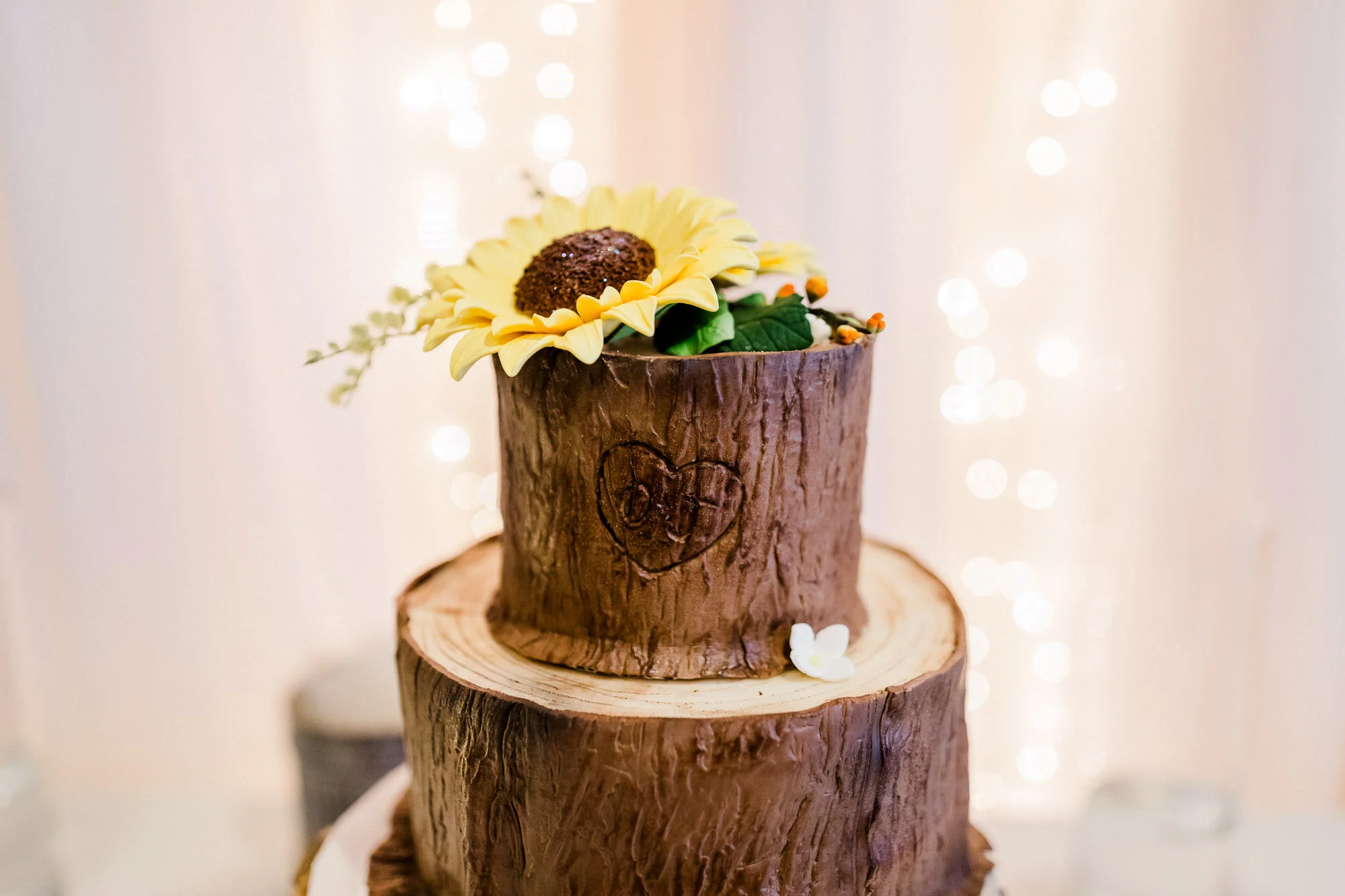 links-hemlock-creek-bloomsburg-wedding-5785.jpg