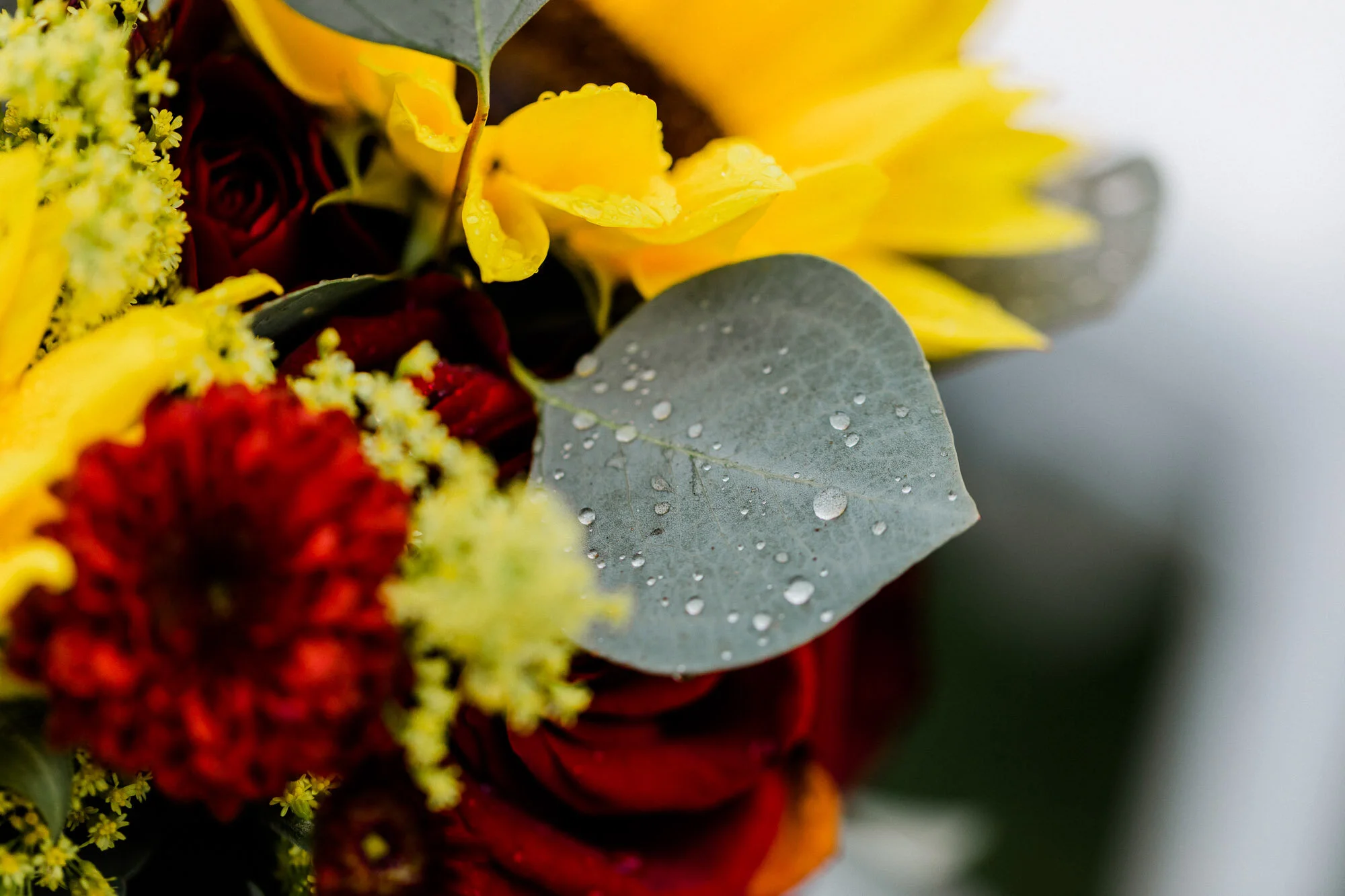 links-hemlock-creek-bloomsburg-wedding-5989.jpg